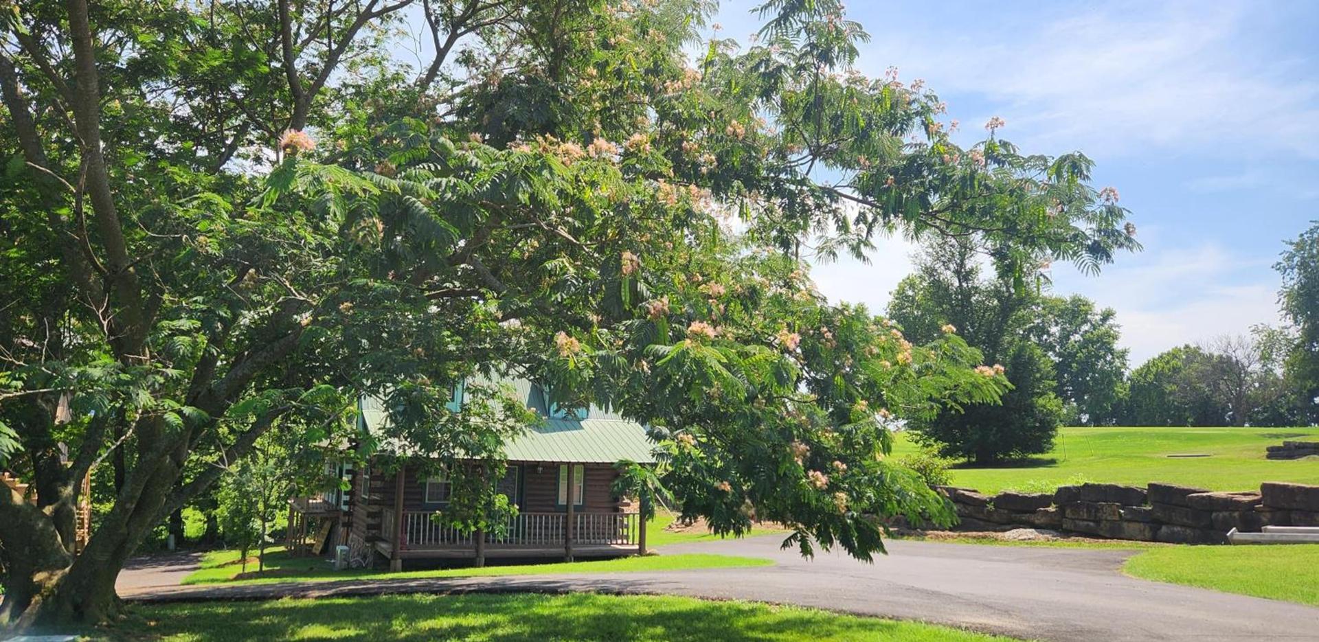 Fairway Inn photo 18