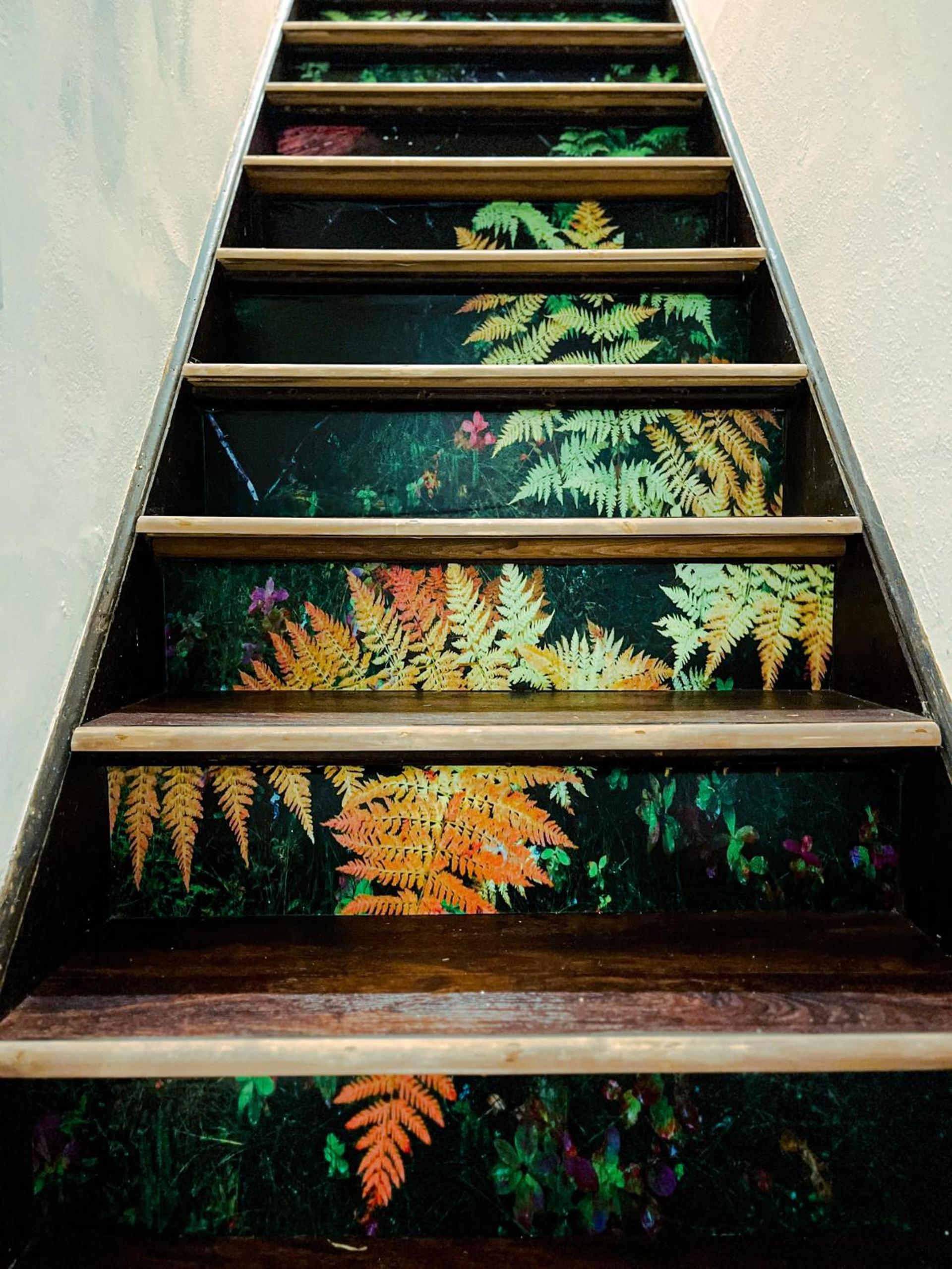 Echo Zen Hostal photo 3