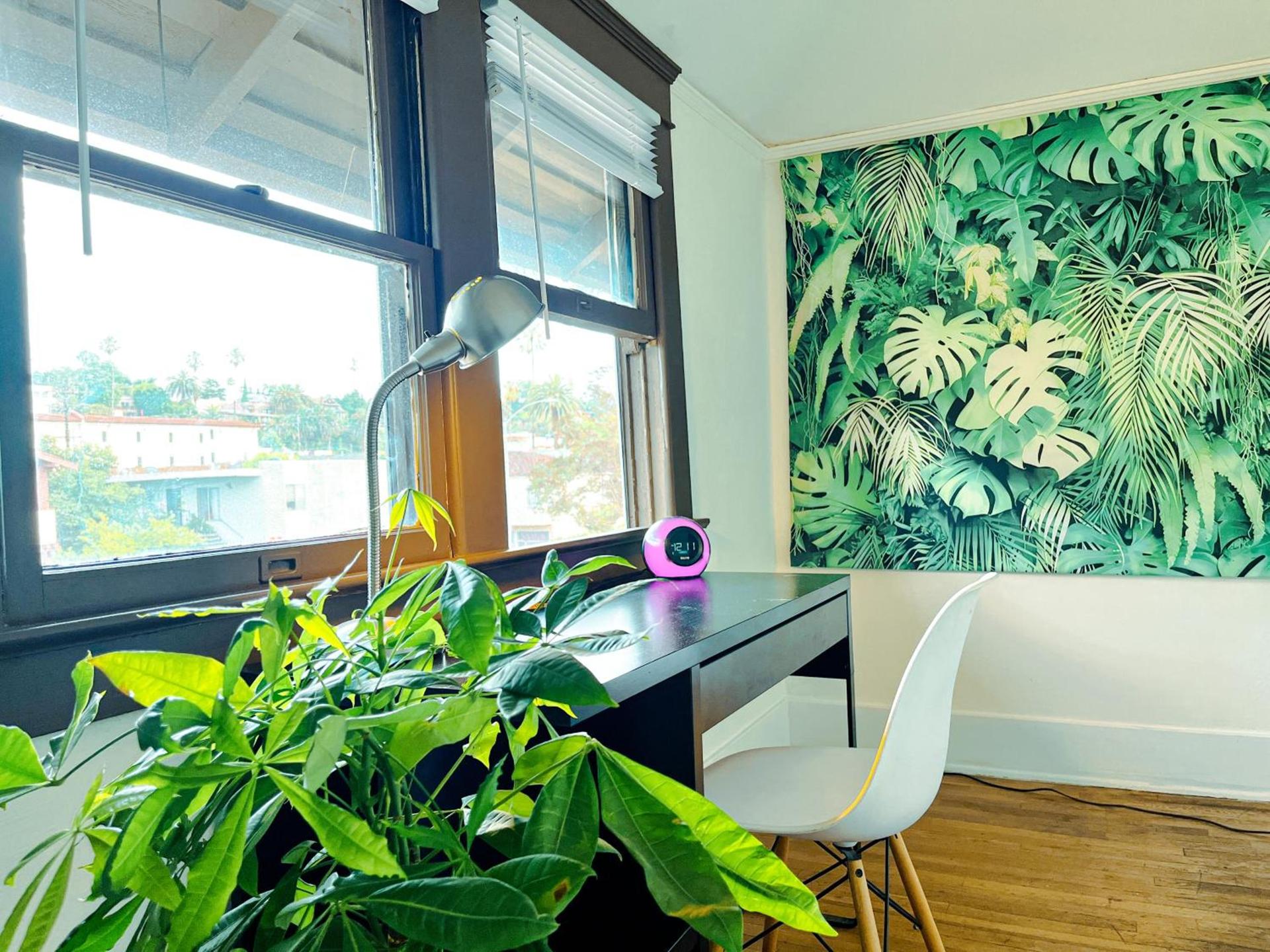 Echo Zen Hostal photo 44