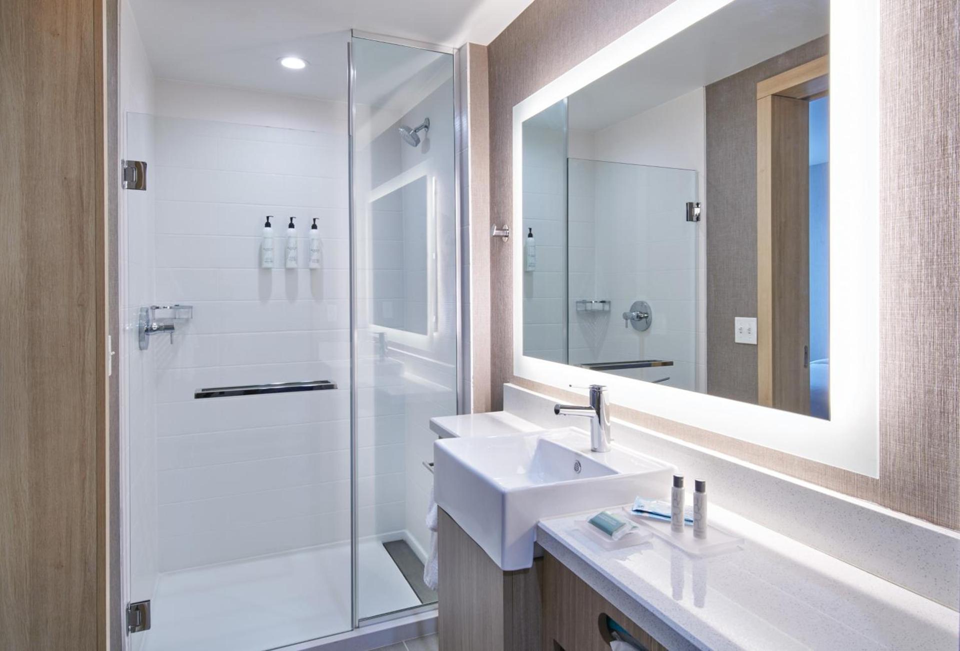 SpringHill Suites by Marriott Detroit Dearborn photo 10