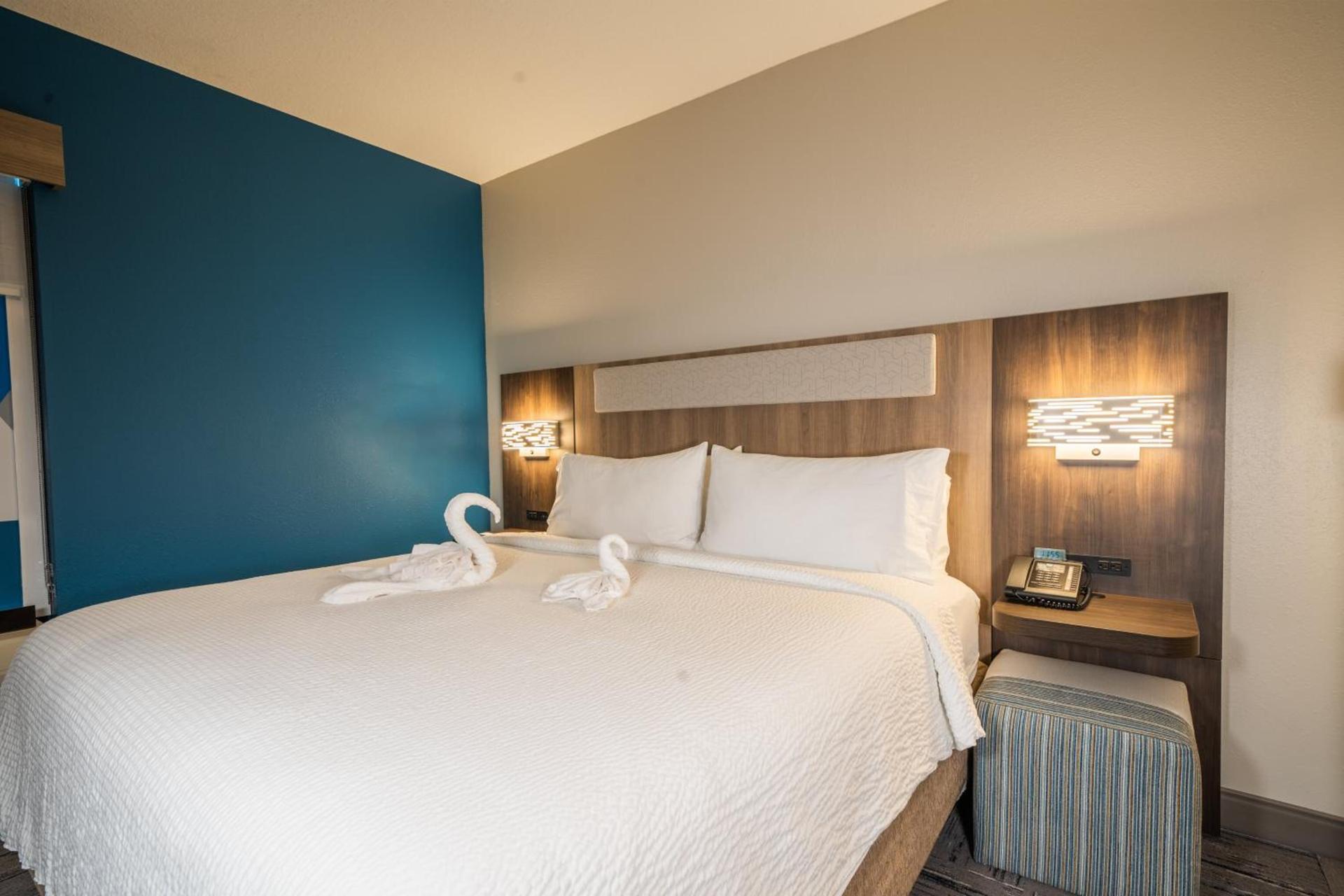 Holiday Inn Express Hotel & Suites Tampa-Oldsmar by IHG photo 12