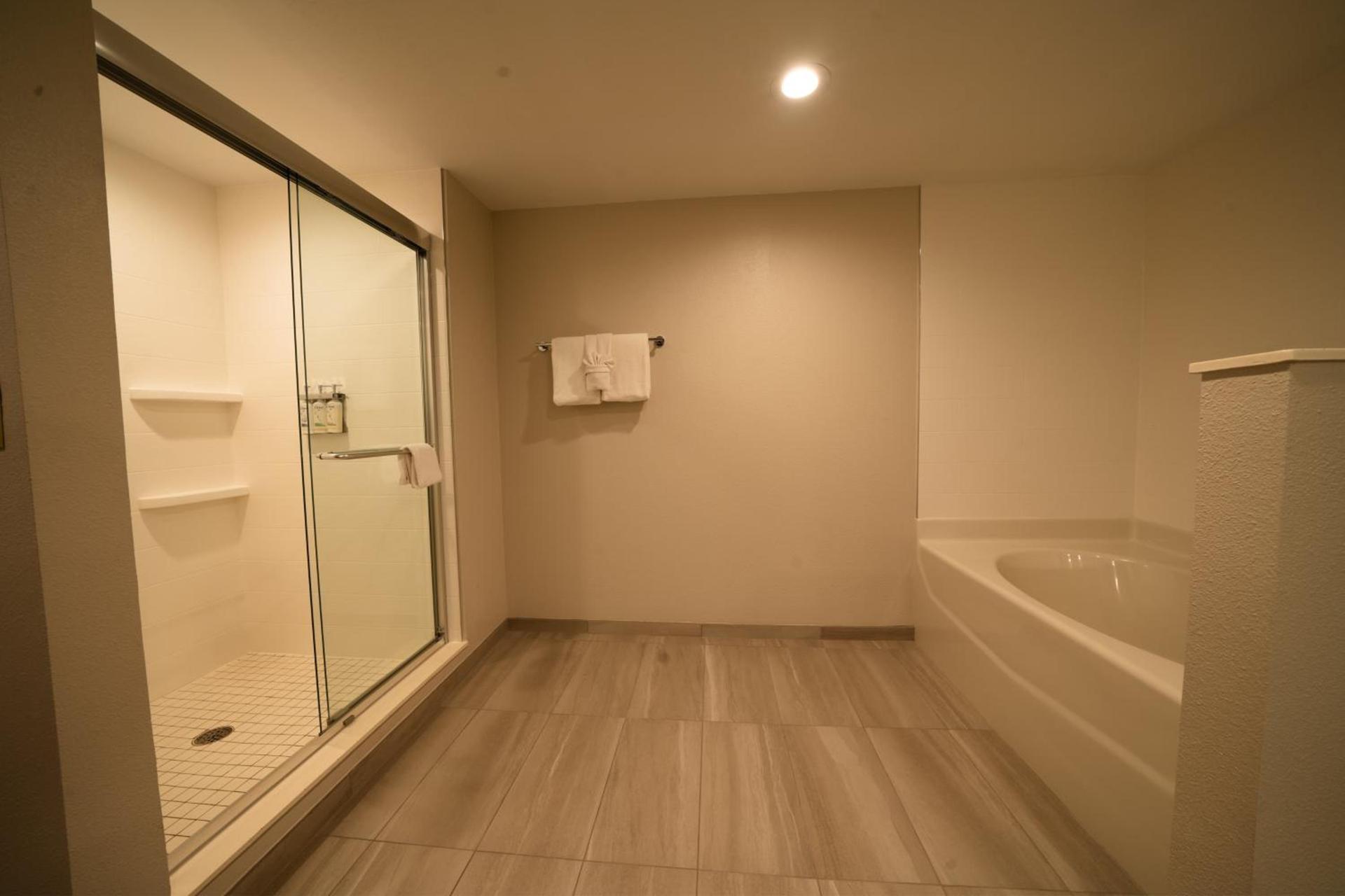 Holiday Inn Express Hotel & Suites Tampa-Oldsmar by IHG photo 9