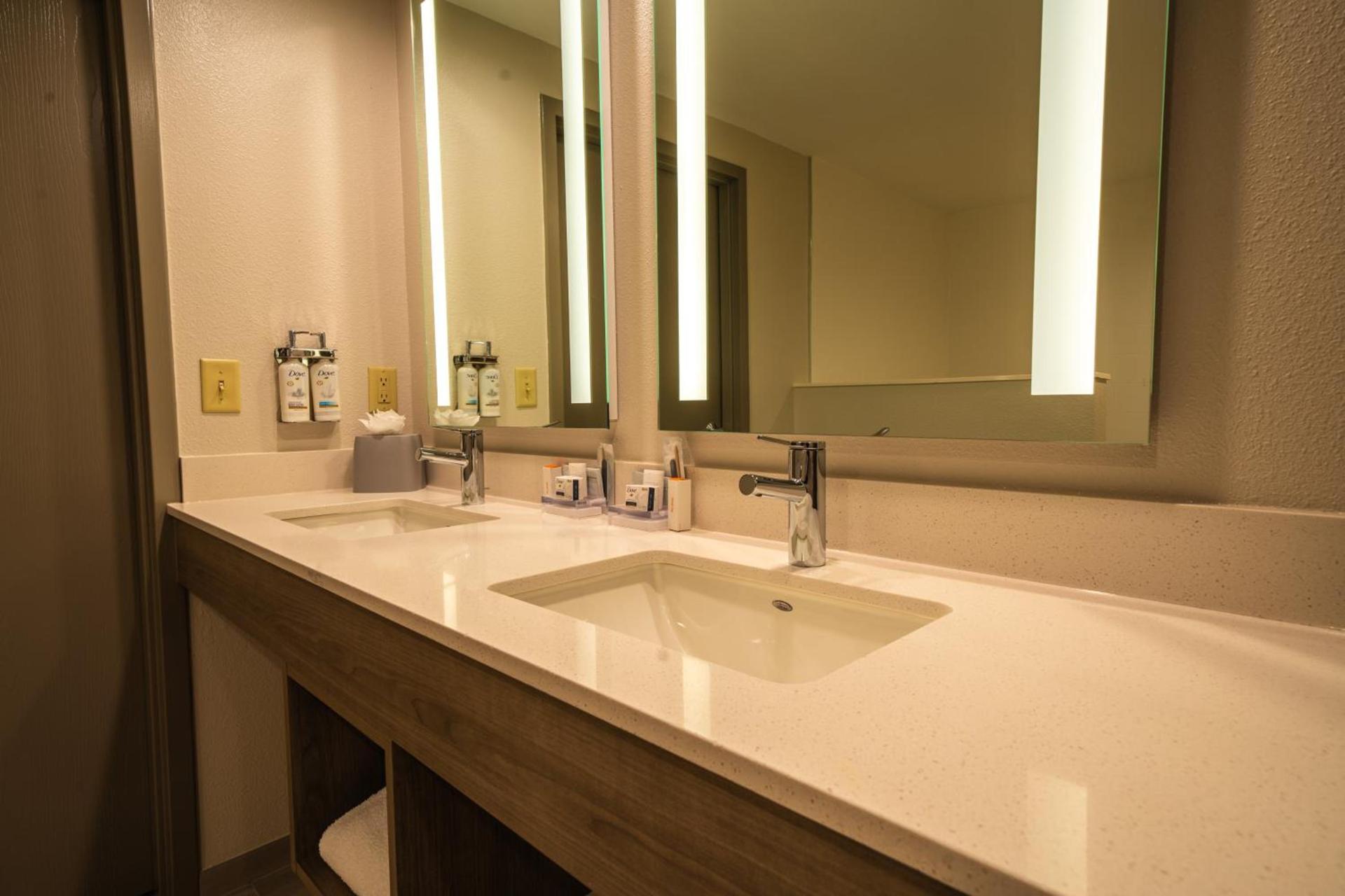 Holiday Inn Express Hotel & Suites Tampa-Oldsmar by IHG photo 14