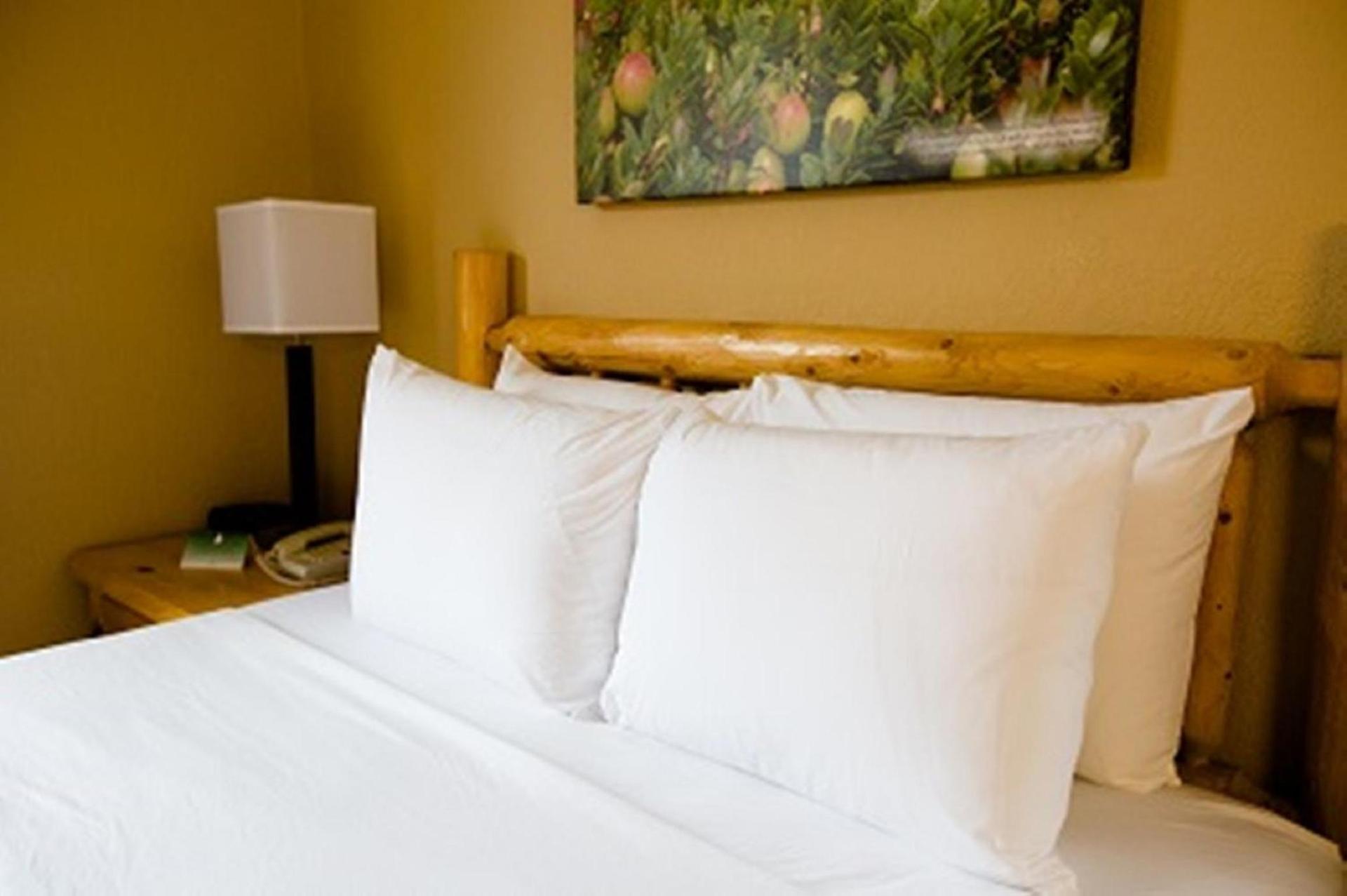 Cranberry Country Lodge photo 29