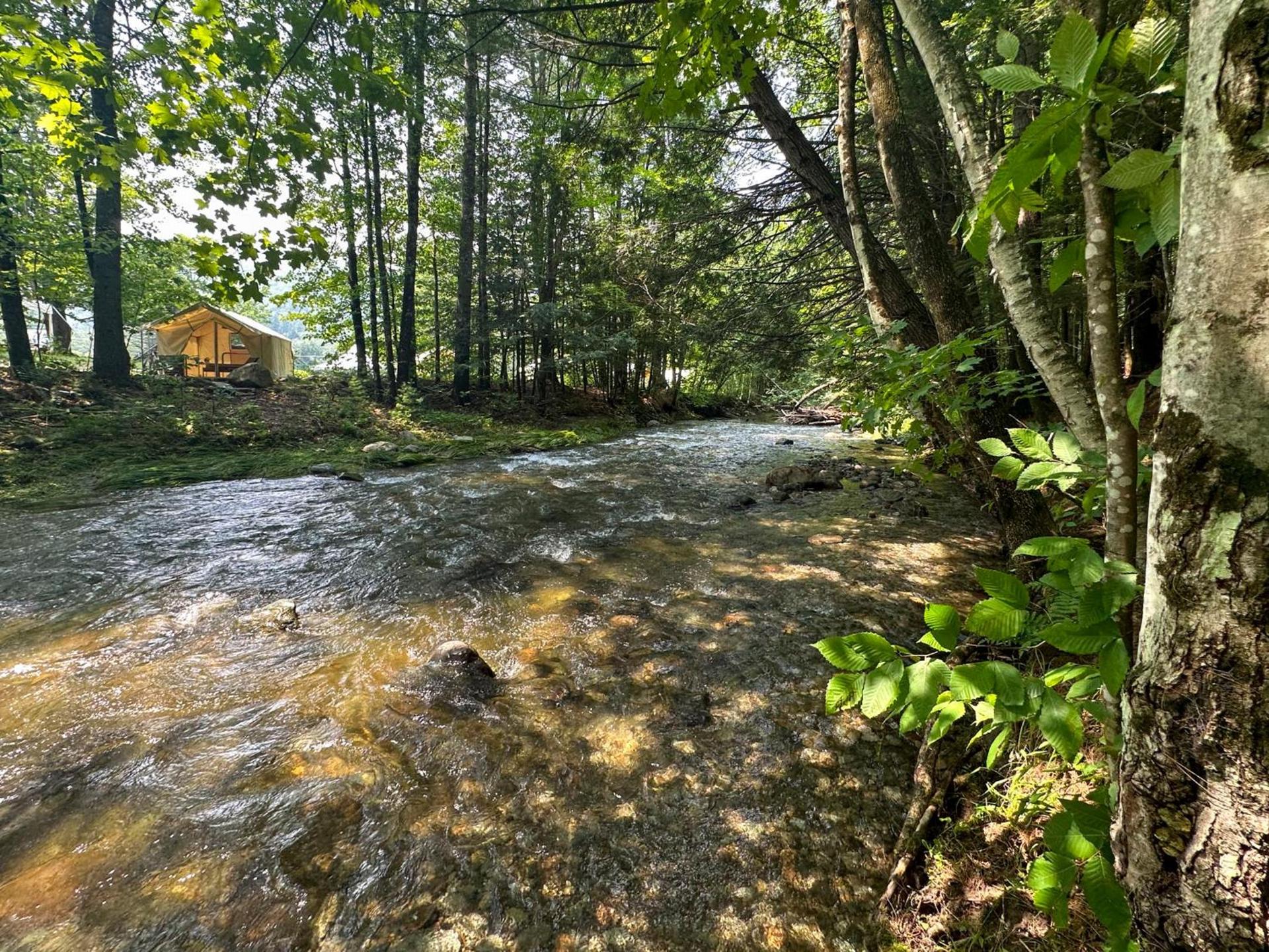 Madbush Falls photo 10