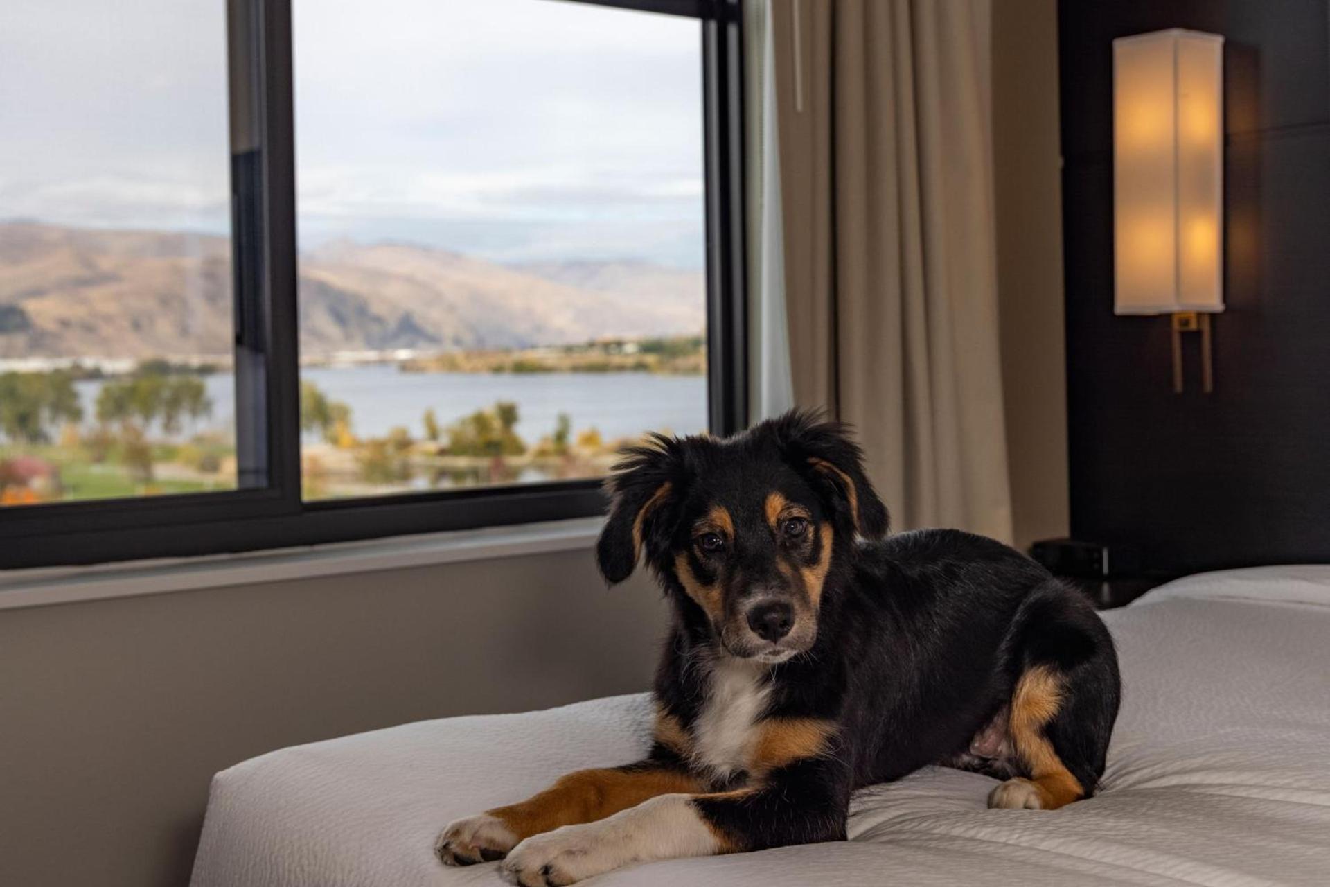 Residence Inn by Marriott Wenatchee photo 35