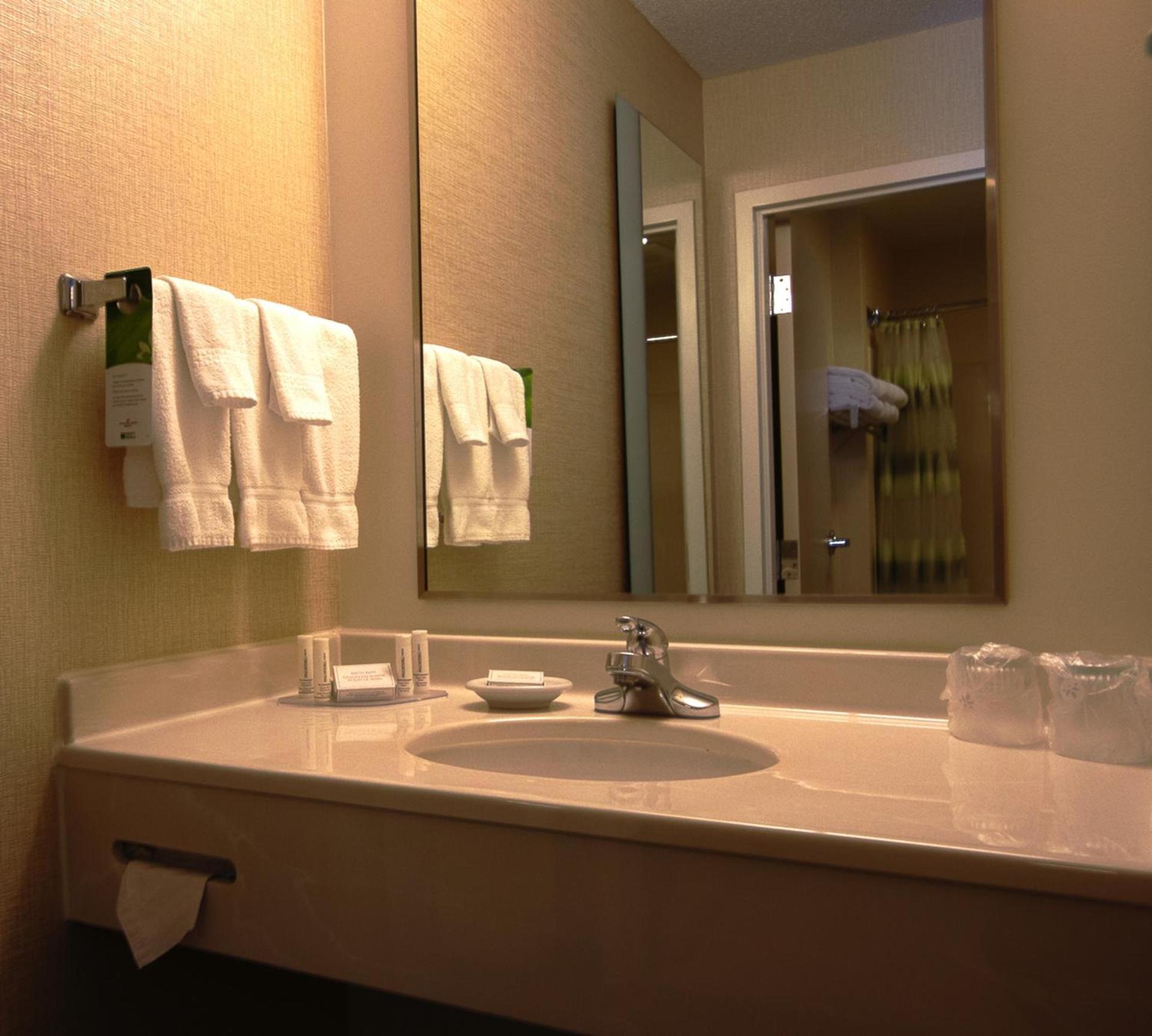 SpringHill Suites by Marriott Hershey Near The Park photo 13