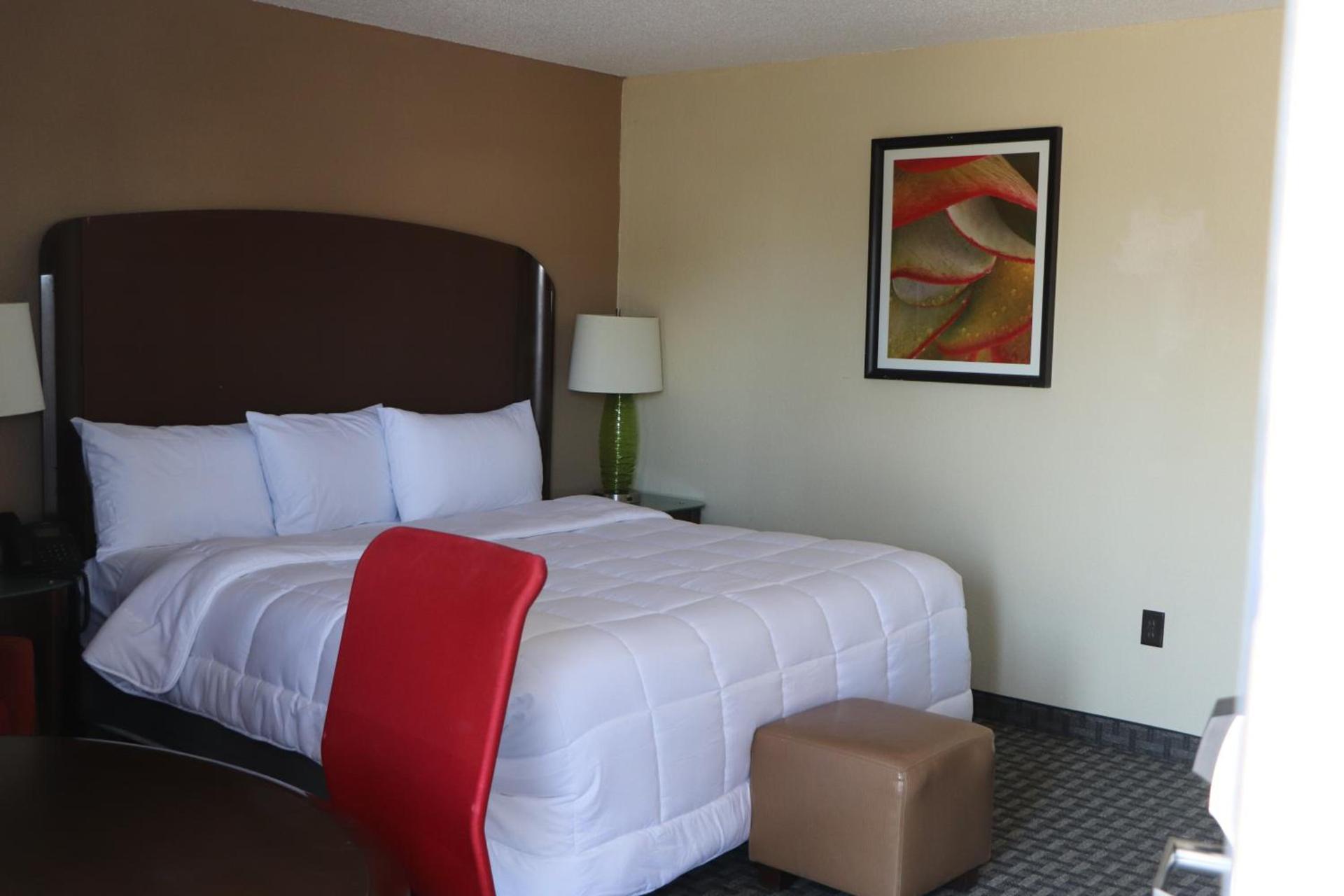 Historic Cow Palace Inn photo 10