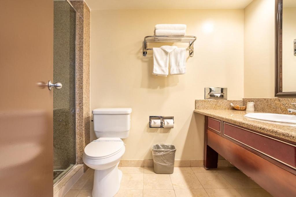 Hotel Koxie photo 36