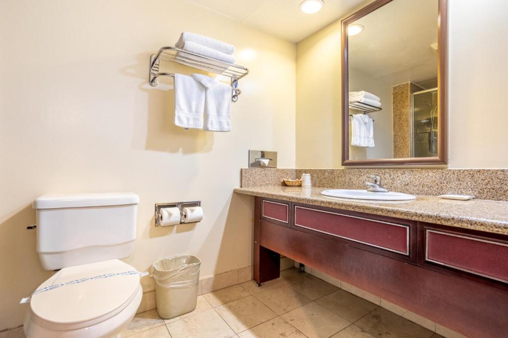 Hotel Koxie photo 45