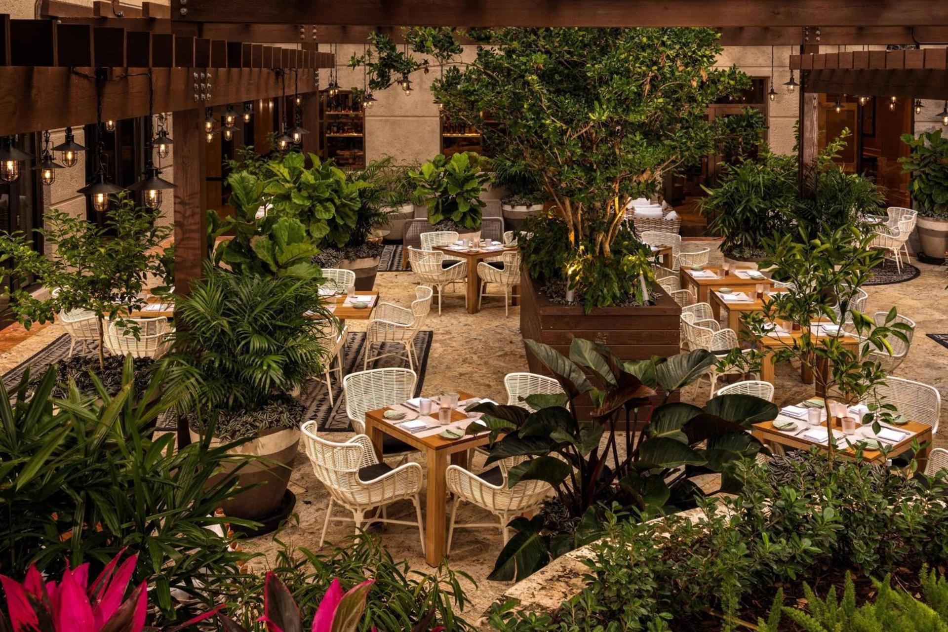 The Ritz-Carlton Coconut Grove, Miami photo 33