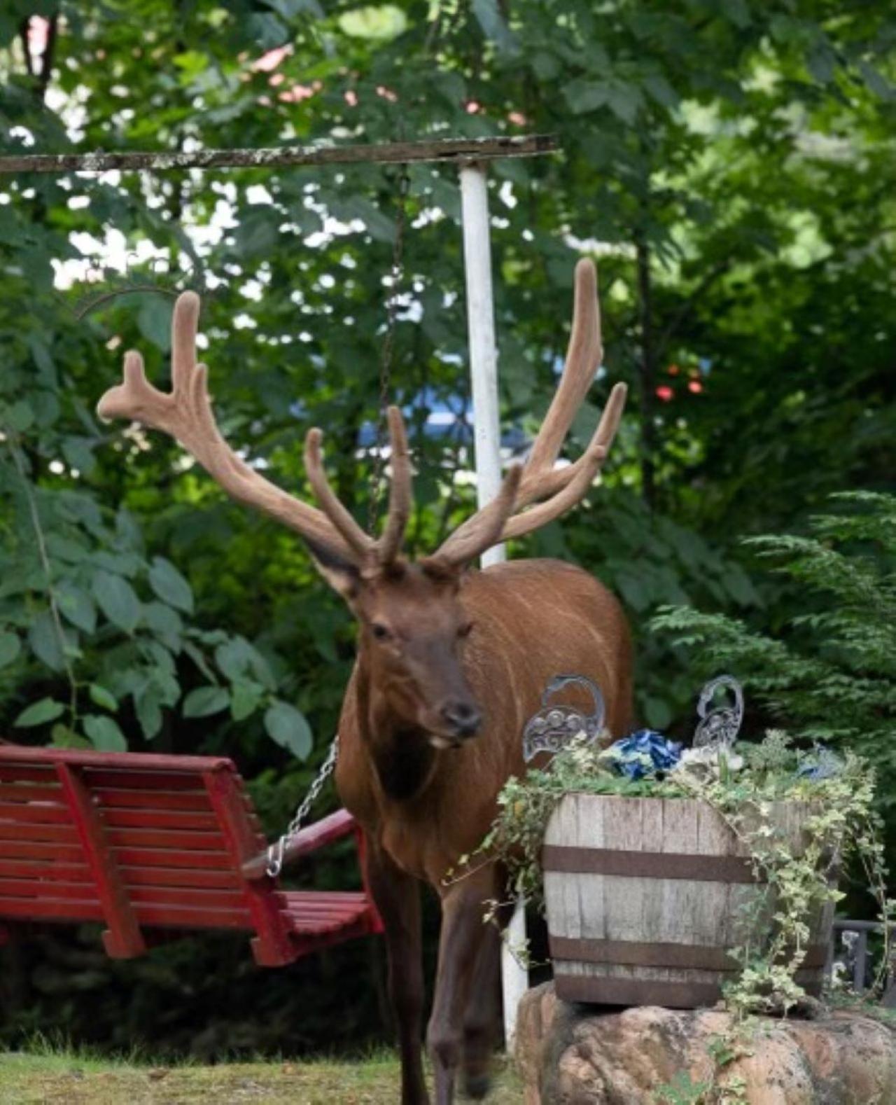 Rolling Brook Inn photo 18
