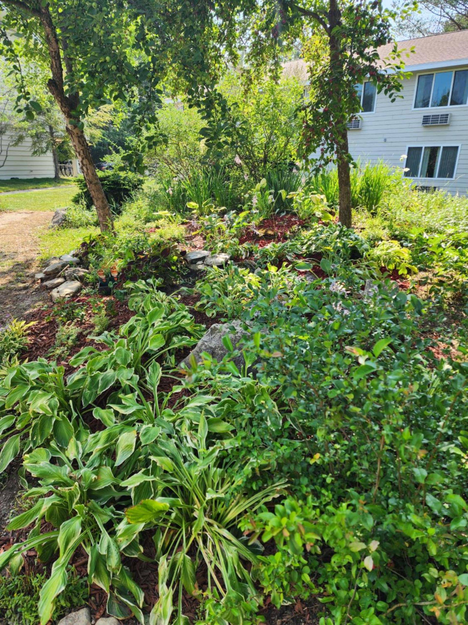 Parkwood Lodge photo 38