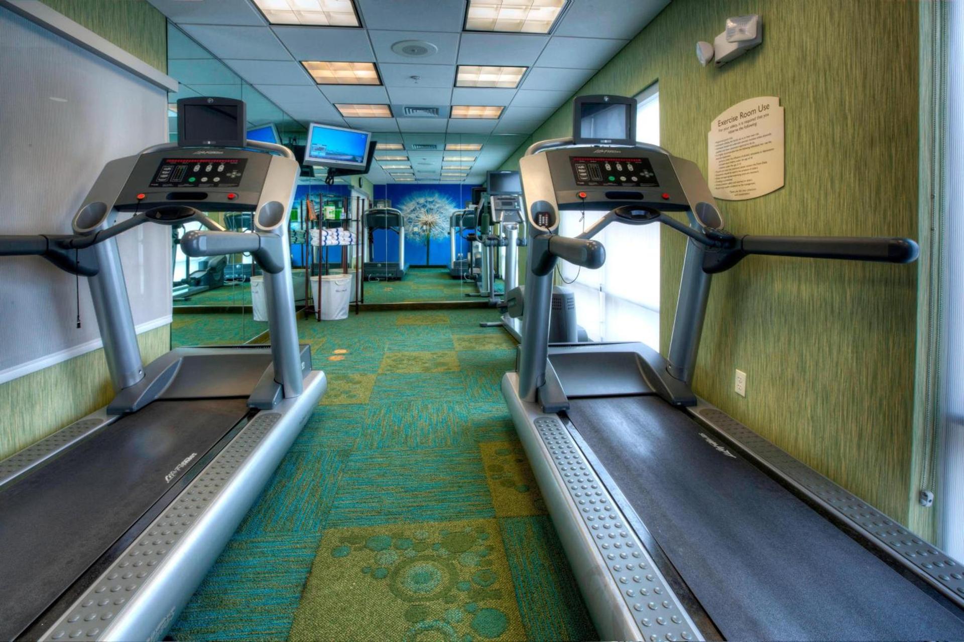 SpringHill Suites by Marriott - Tampa Brandon photo 6
