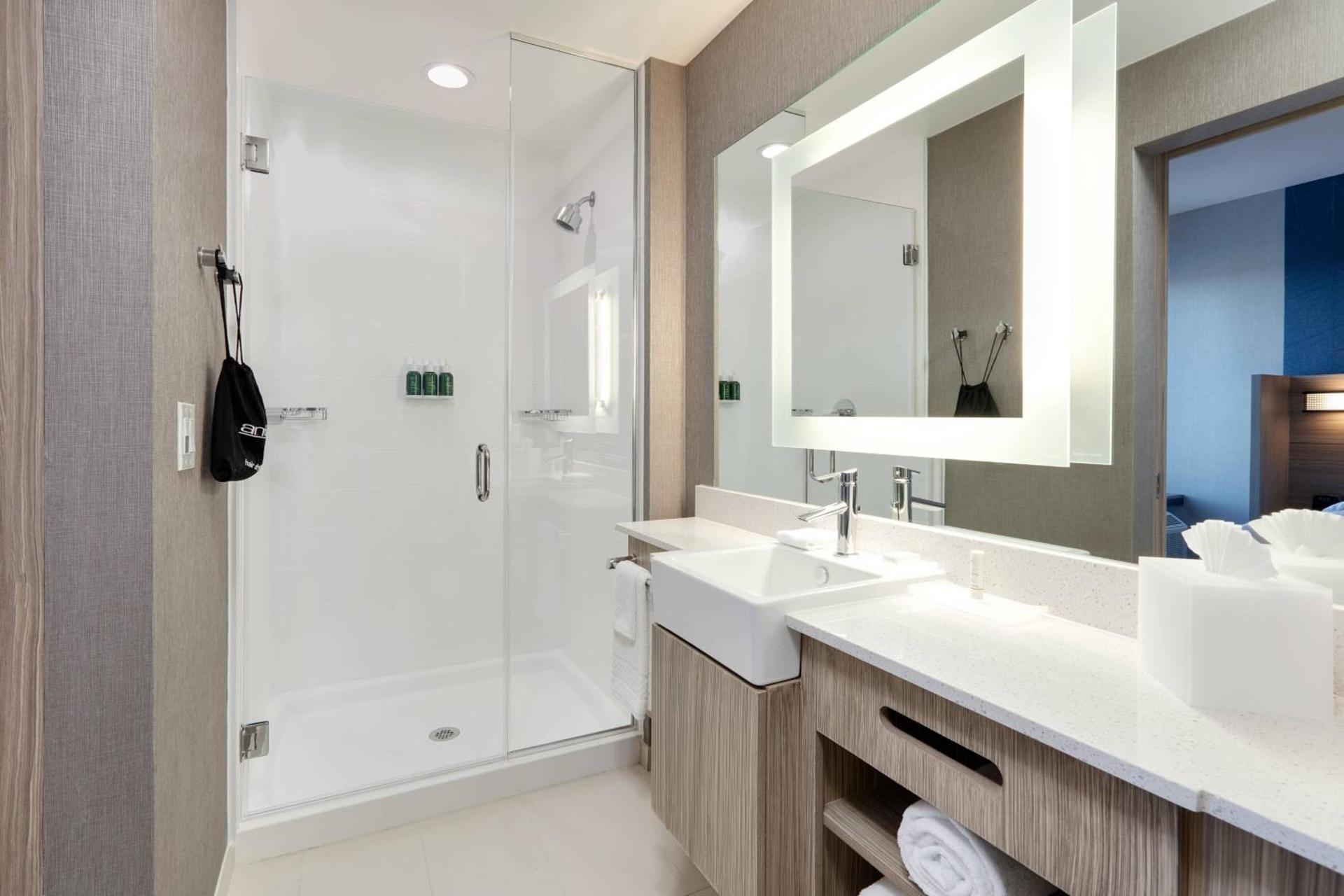 SpringHill Suites by Marriott Dallas Mansfield photo 15