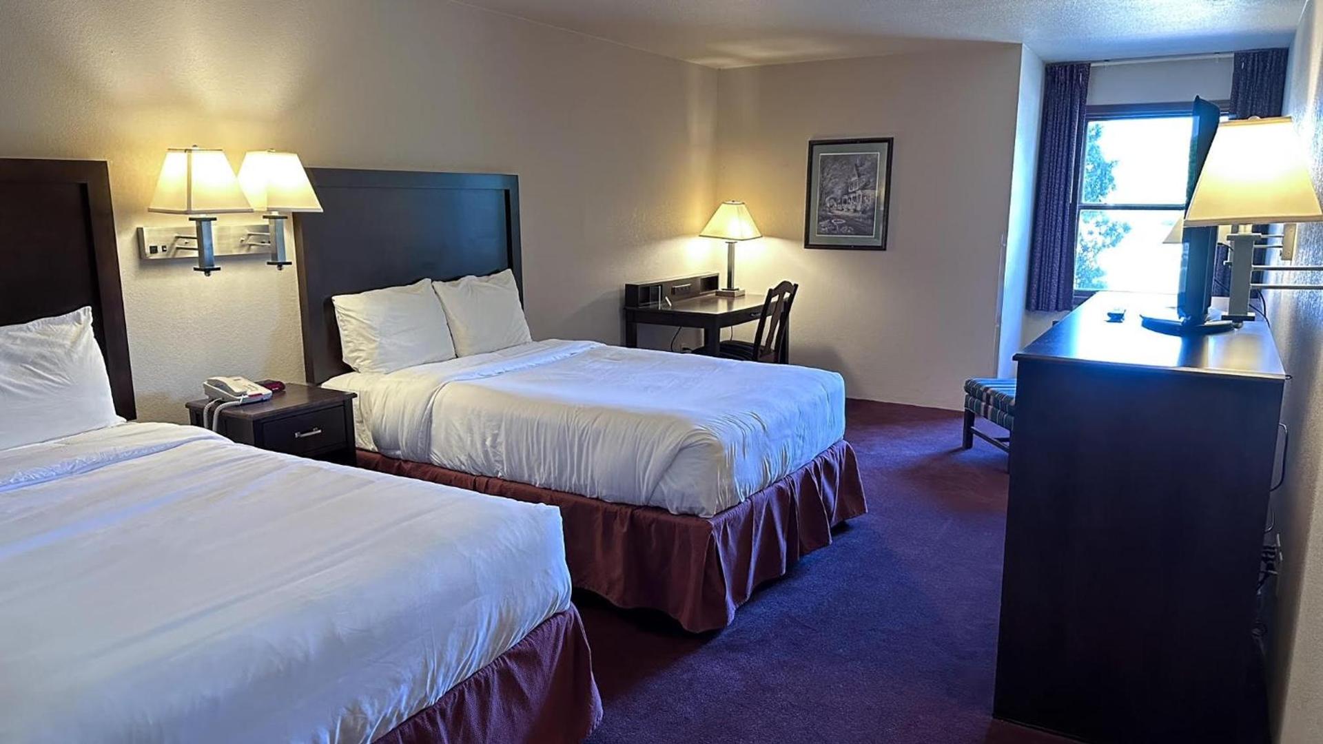 The Shelby Inn photo 5
