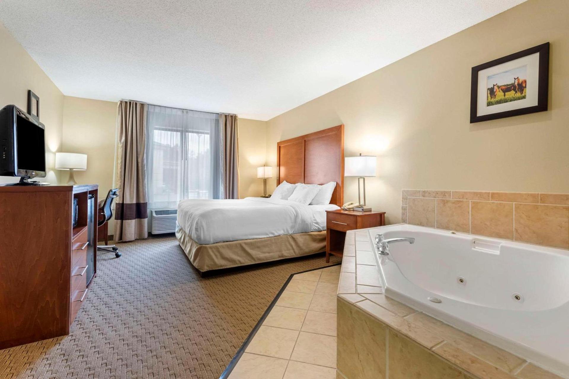 Comfort Inn & Suites Black River Falls I-94 photo 14