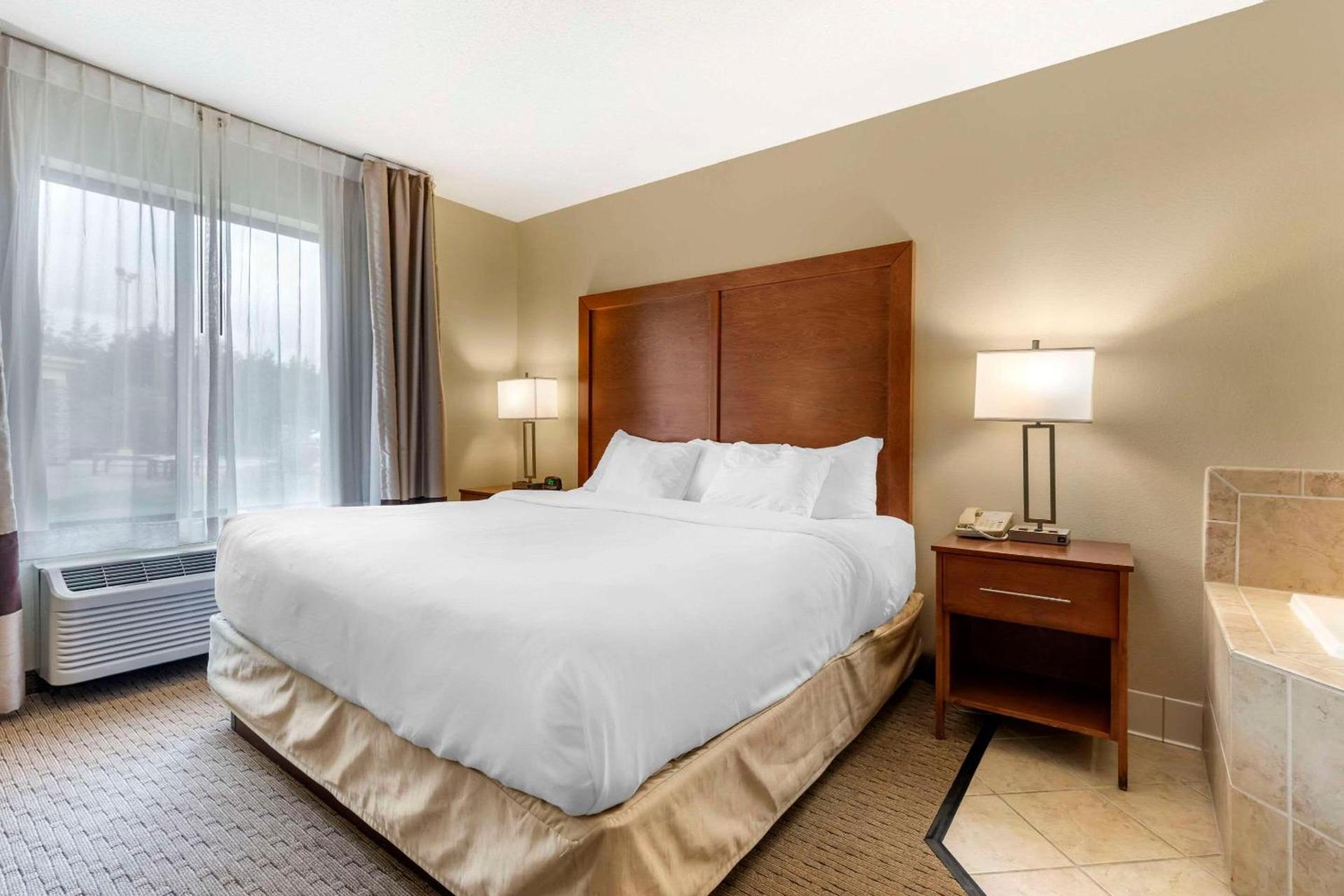 Comfort Inn & Suites Black River Falls I-94 photo 15