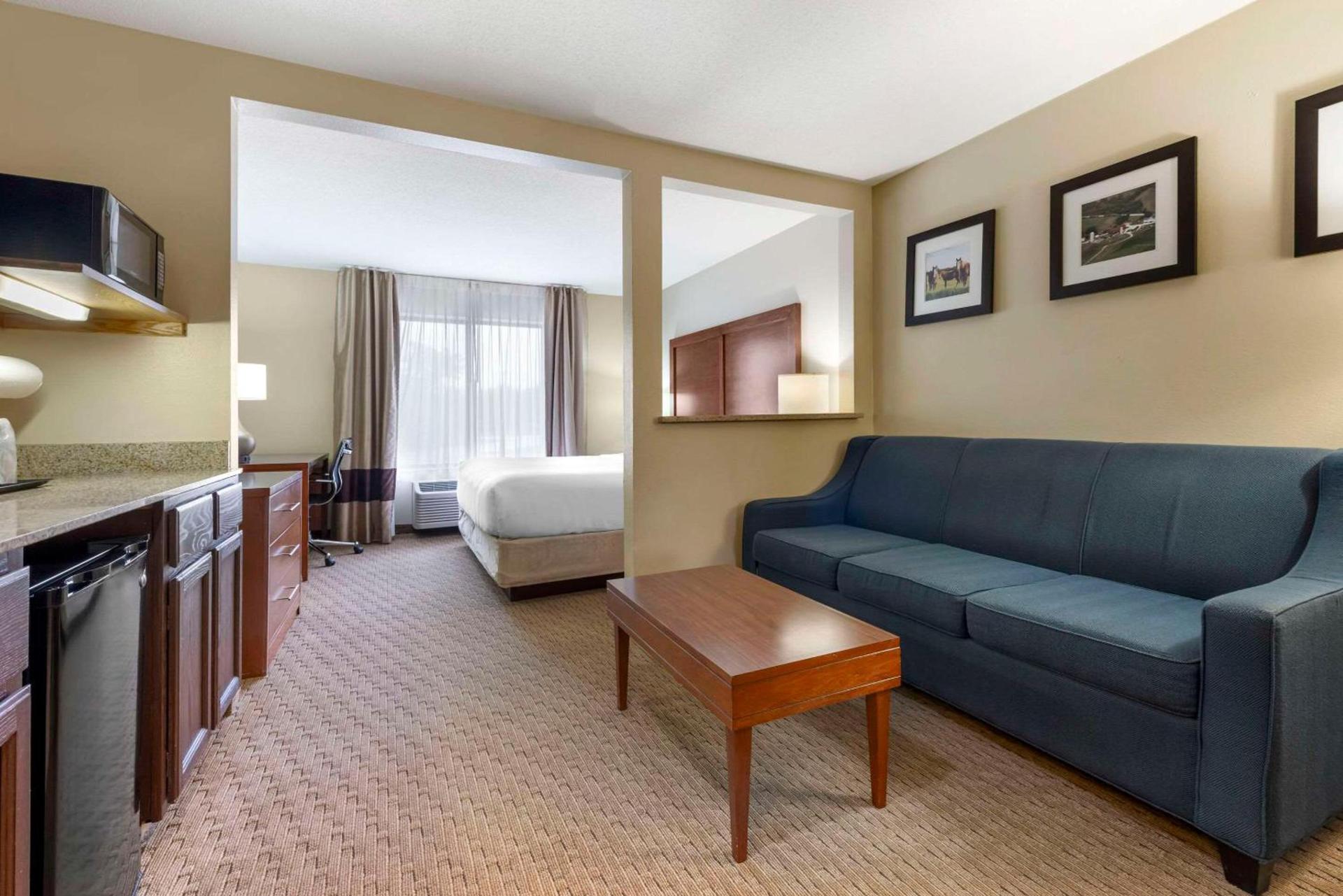 Comfort Inn & Suites Black River Falls I-94 photo 22