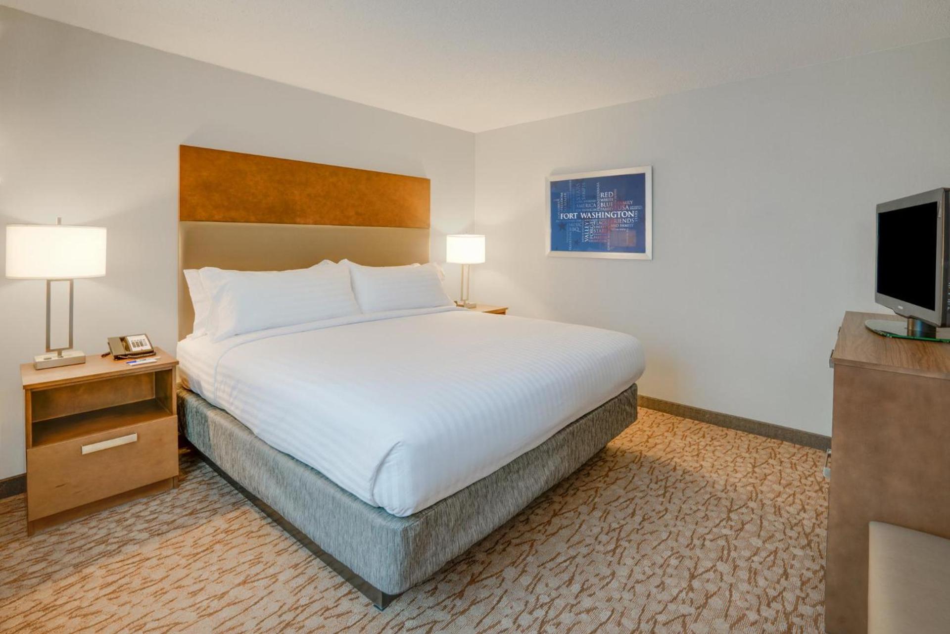 Holiday Inn Express & Suites Ft. Washington - Philadelphia by IHG photo 28