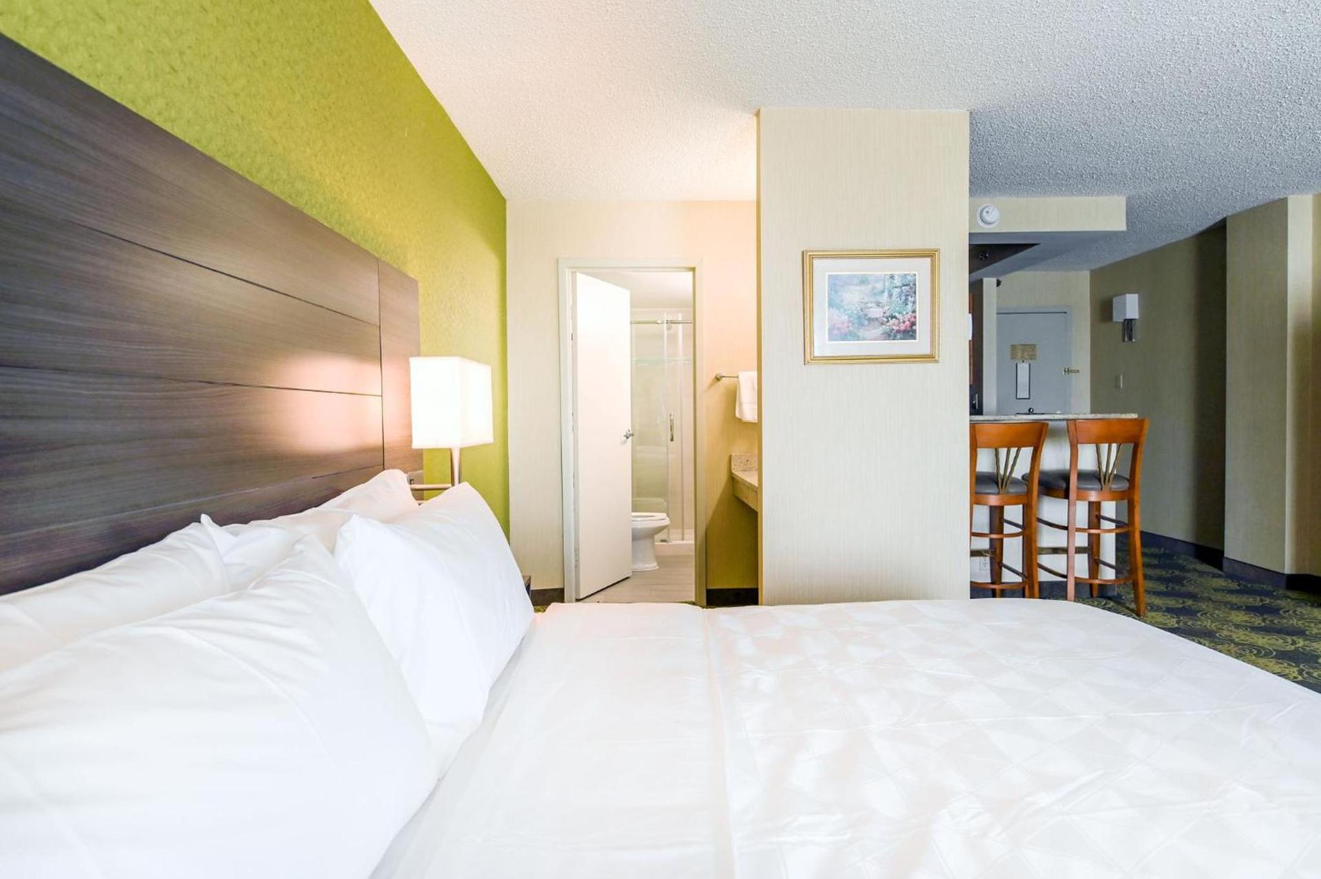 Holiday Inn University Area Charlottesville by IHG photo 36