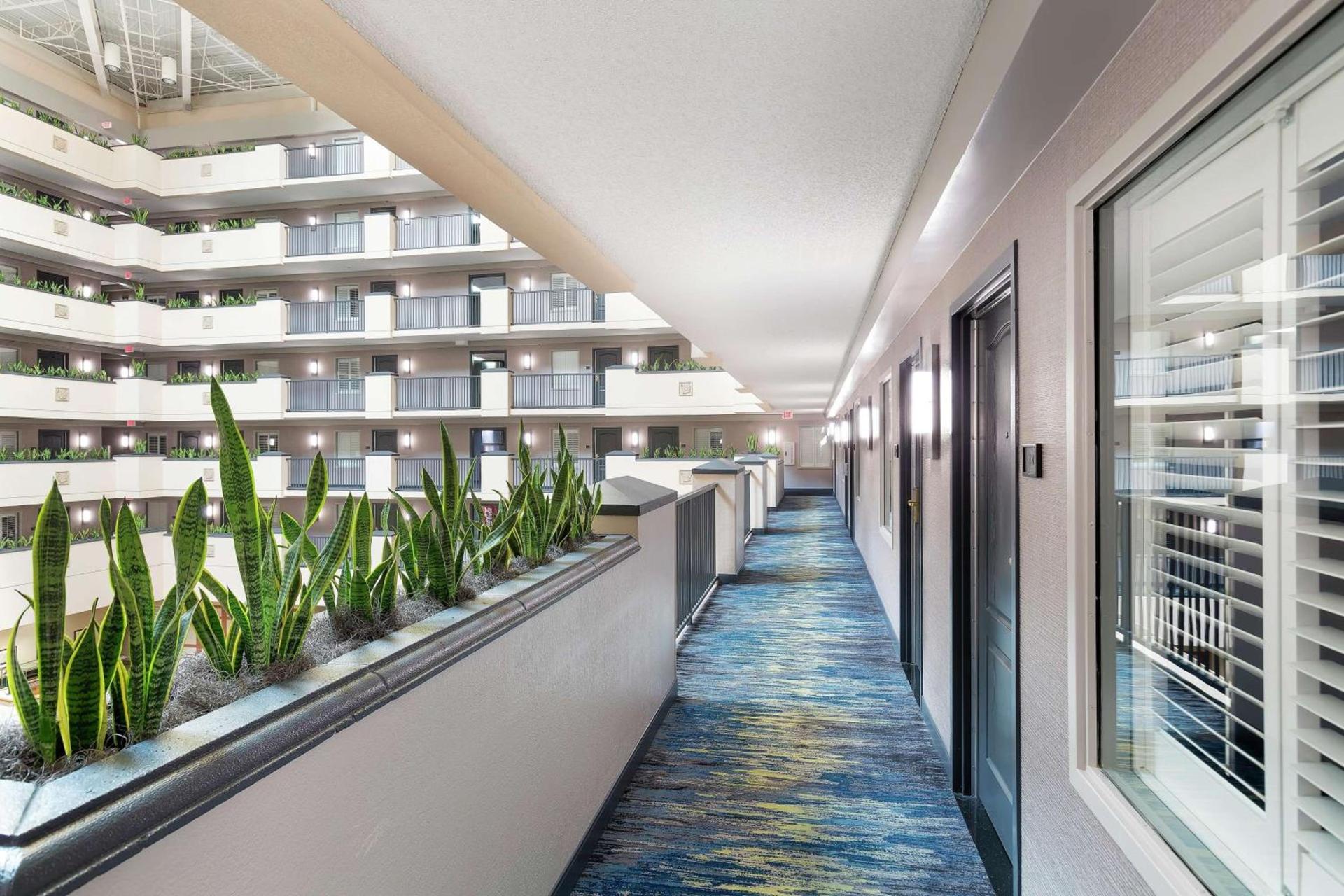 Embassy Suites by Hilton Orlando Airport photo 3