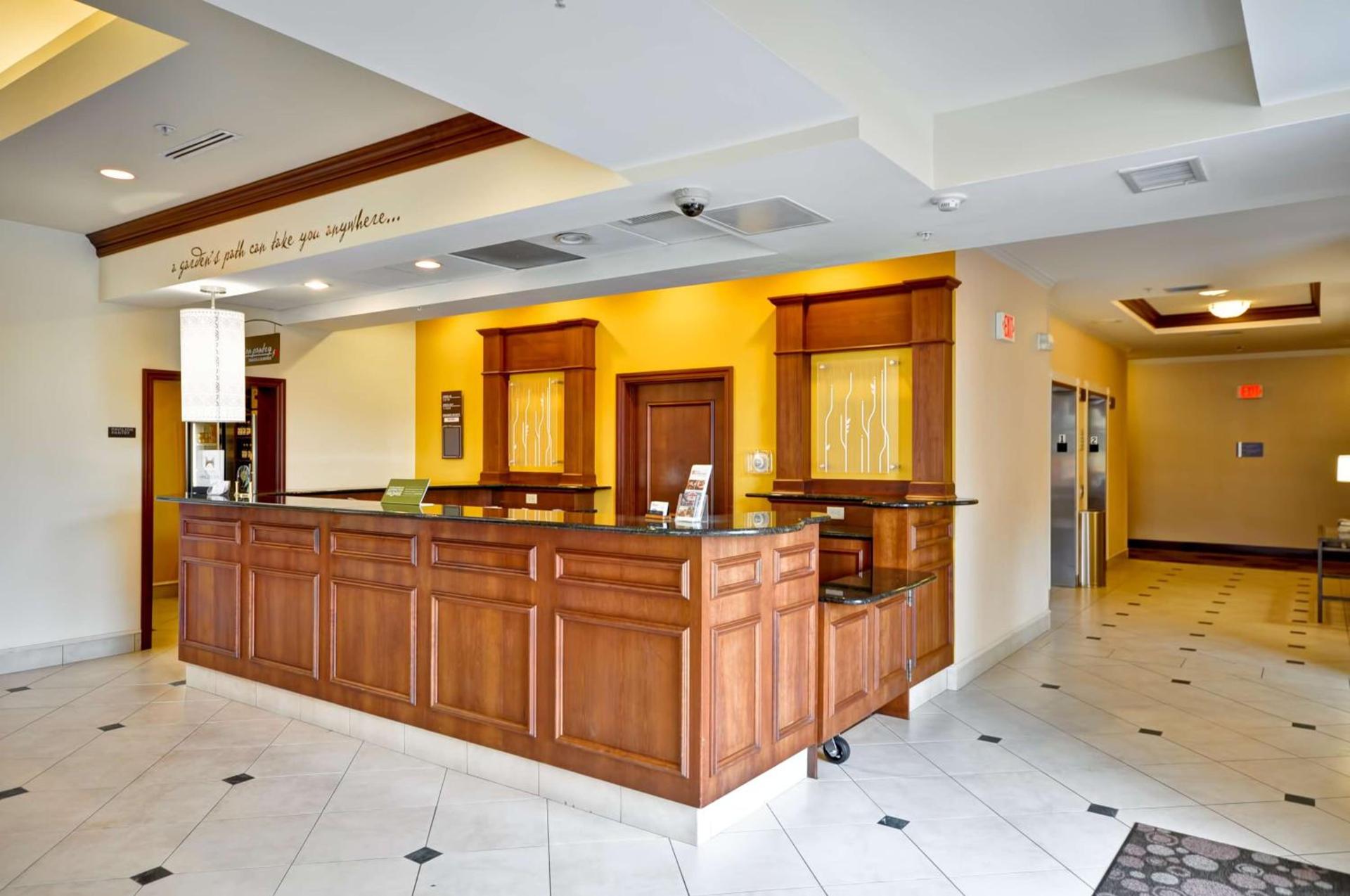 Hilton Garden Inn Tampa Northwest/Oldsmar photo 10