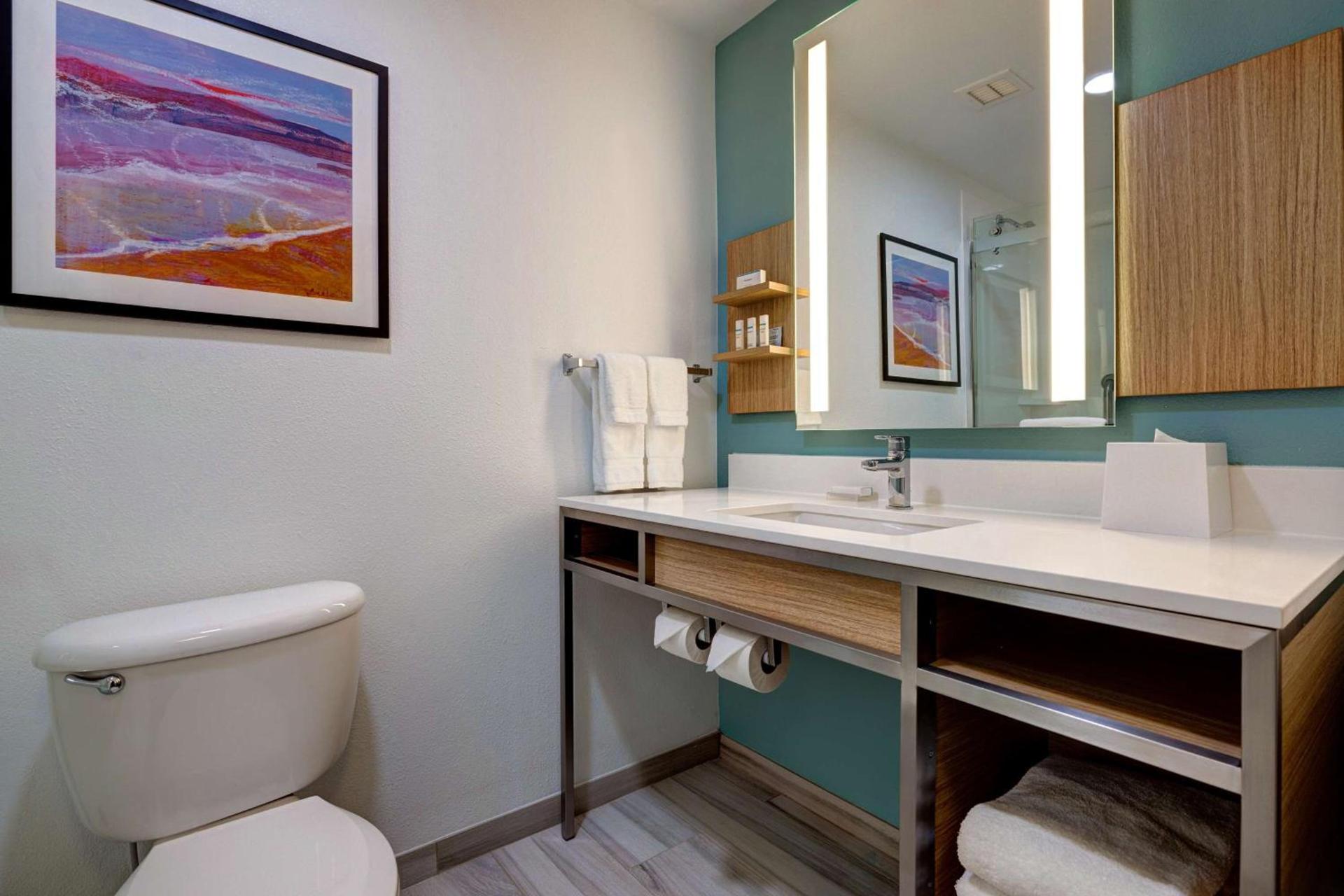 Hilton Garden Inn Tampa Northwest/Oldsmar photo 29
