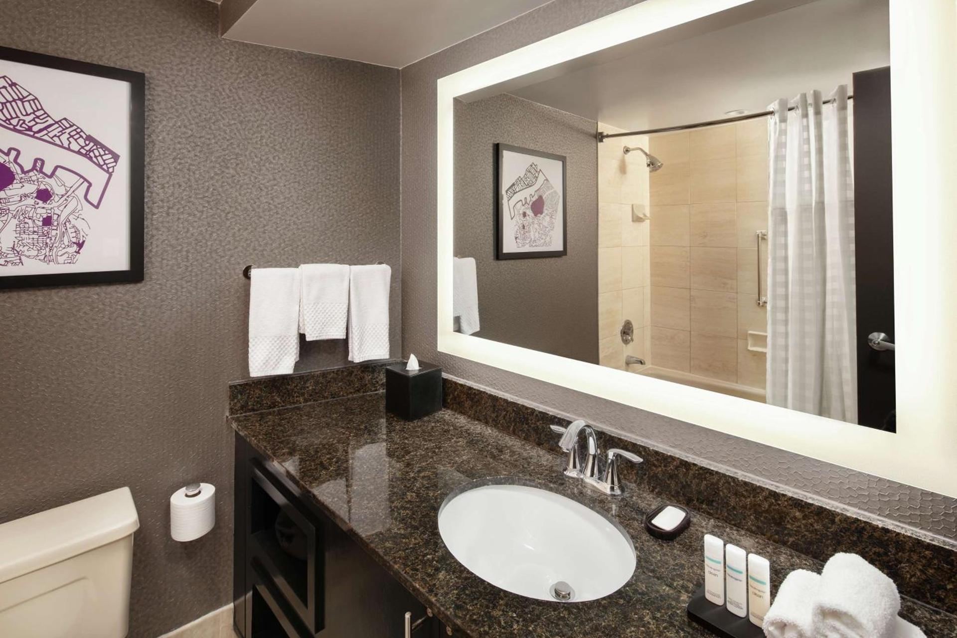 Embassy Suites by Hilton Crystal City National Airport photo 19