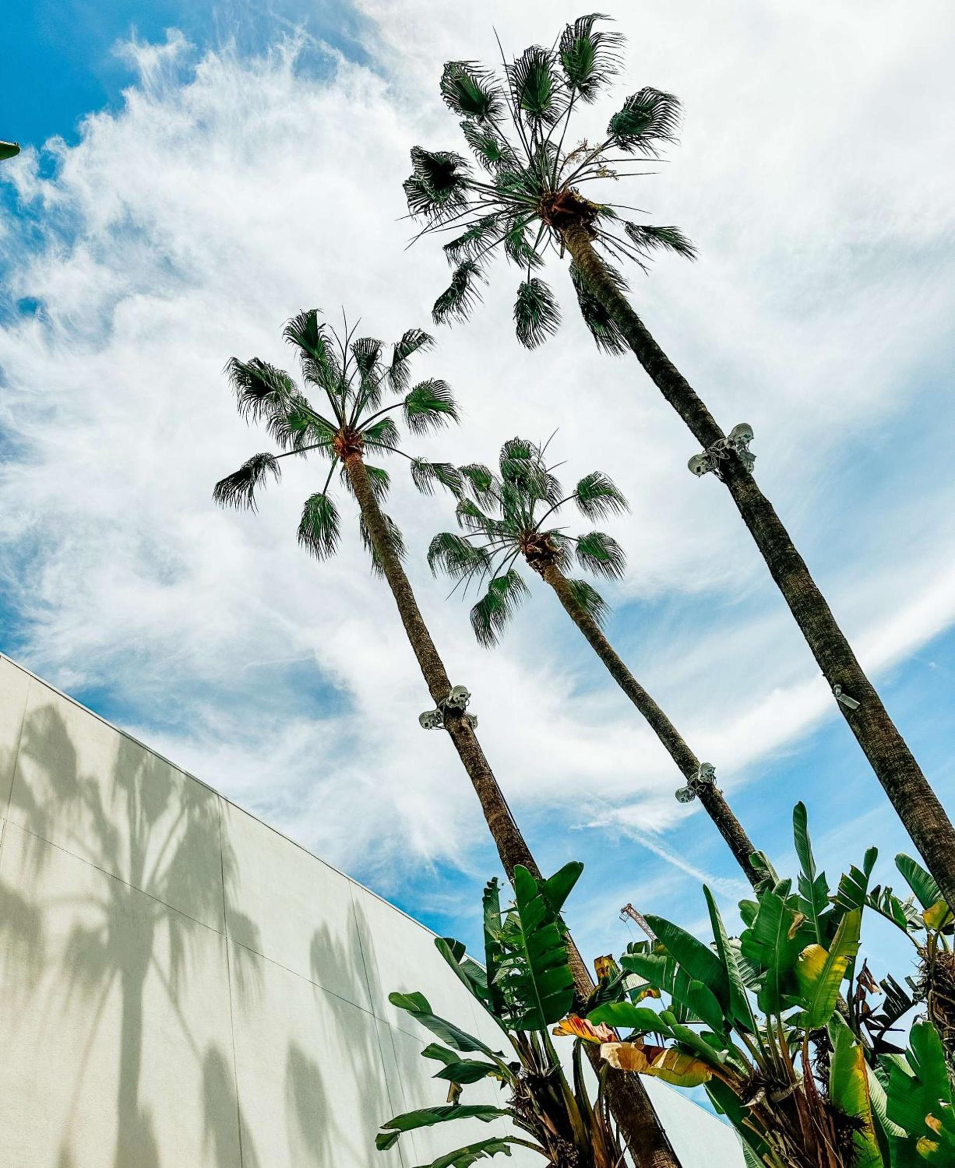 The Beverly Hilton photo 9