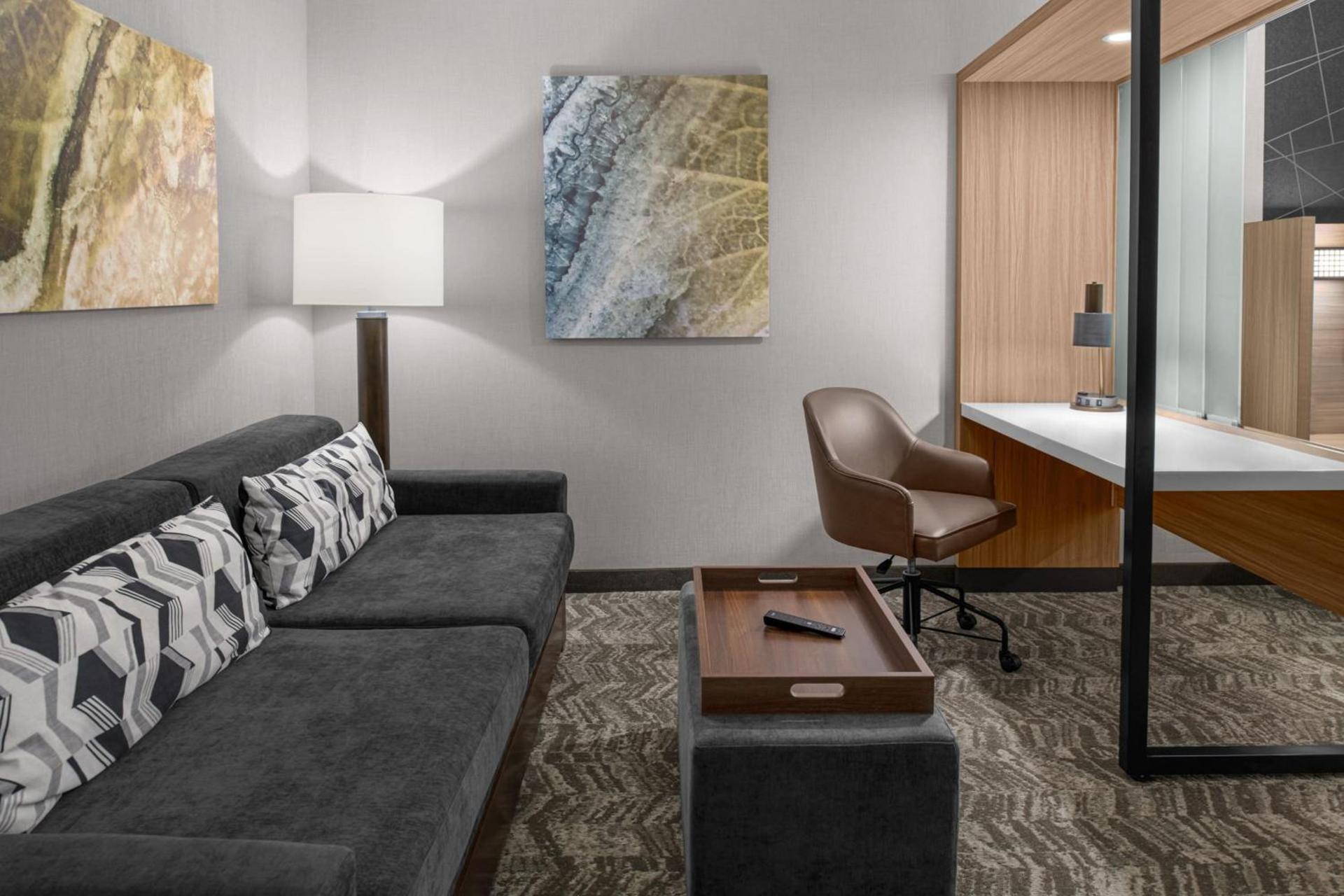 SpringHill Suites by Marriott Riverside Redlands photo 8