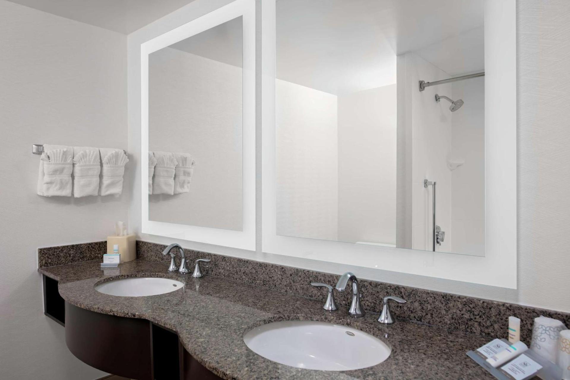 Hilton Garden Inn Atlanta Perimeter Center photo 18