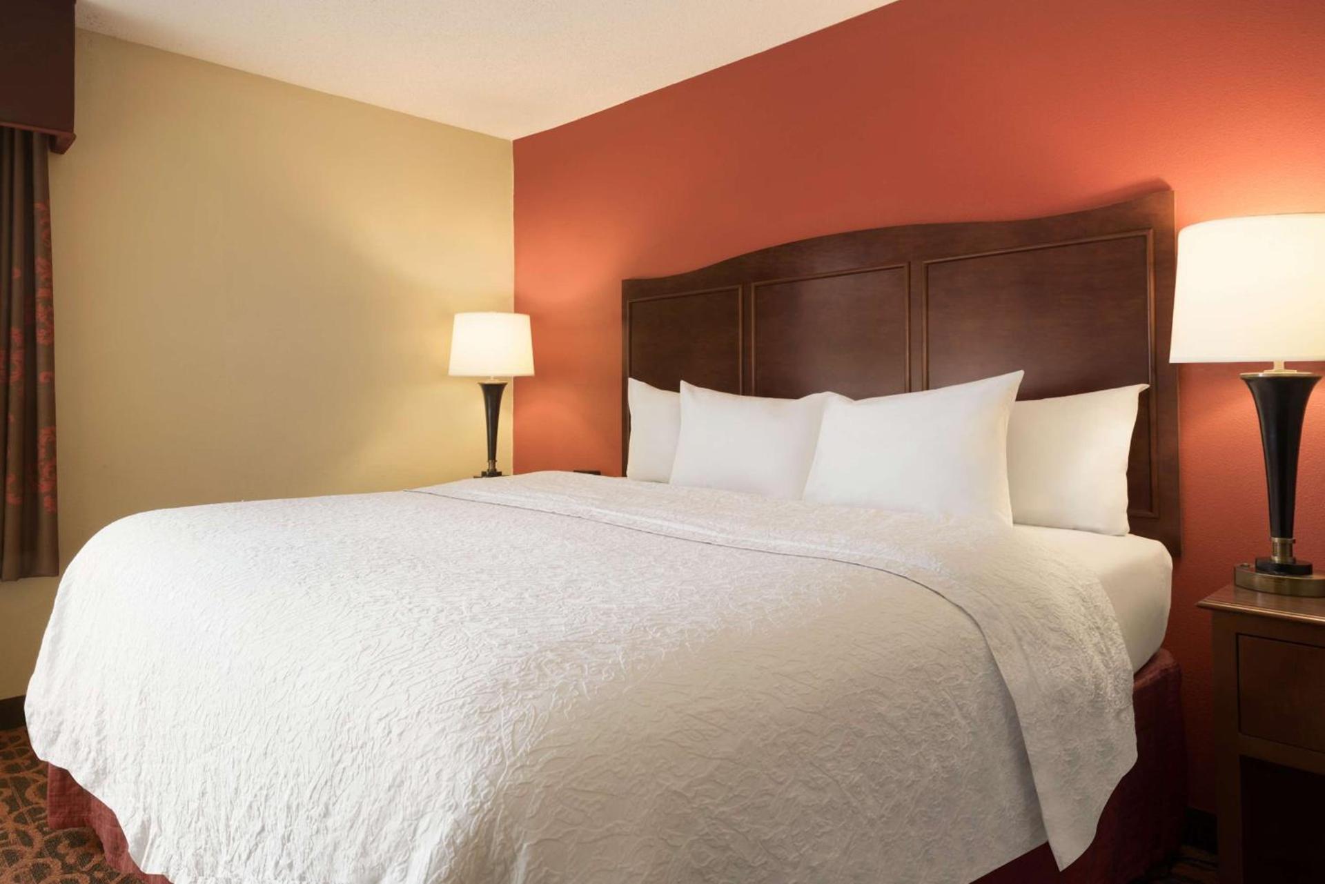 Hampton Inn Battle Creek photo 19