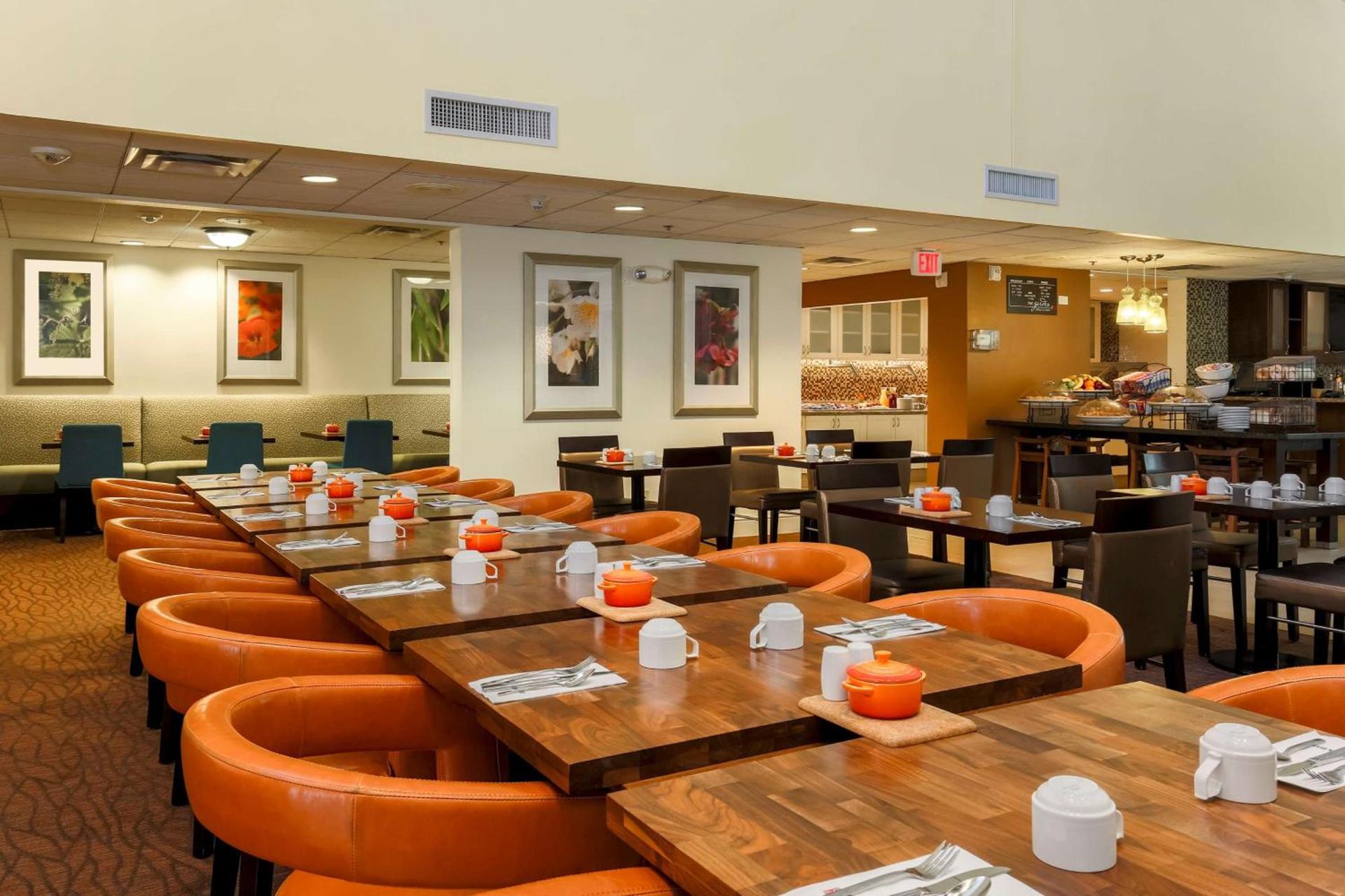 Hilton Garden Inn Dallas/Market Center photo 12