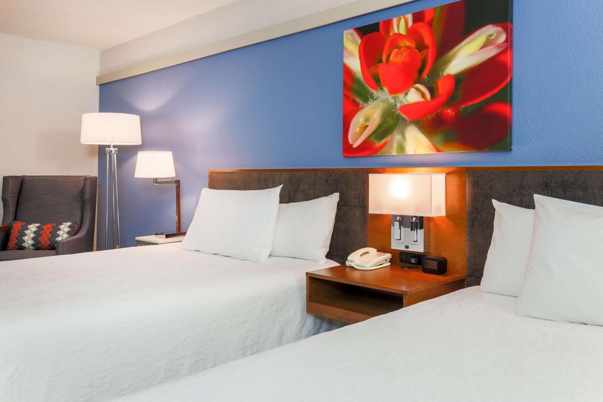 Hilton Garden Inn Dallas/Market Center photo 19