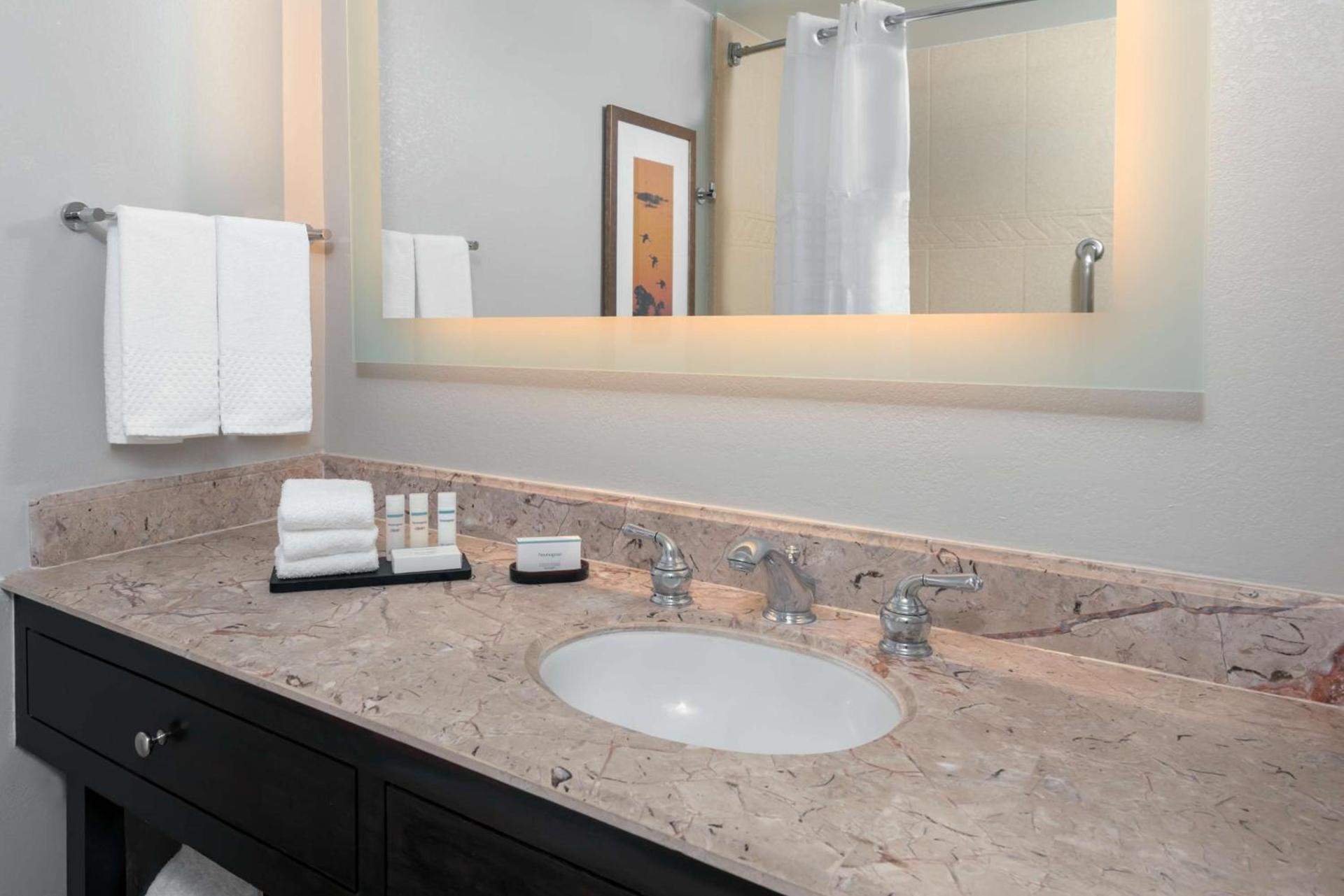 Embassy Suites Dallas - Park Central Area photo 27