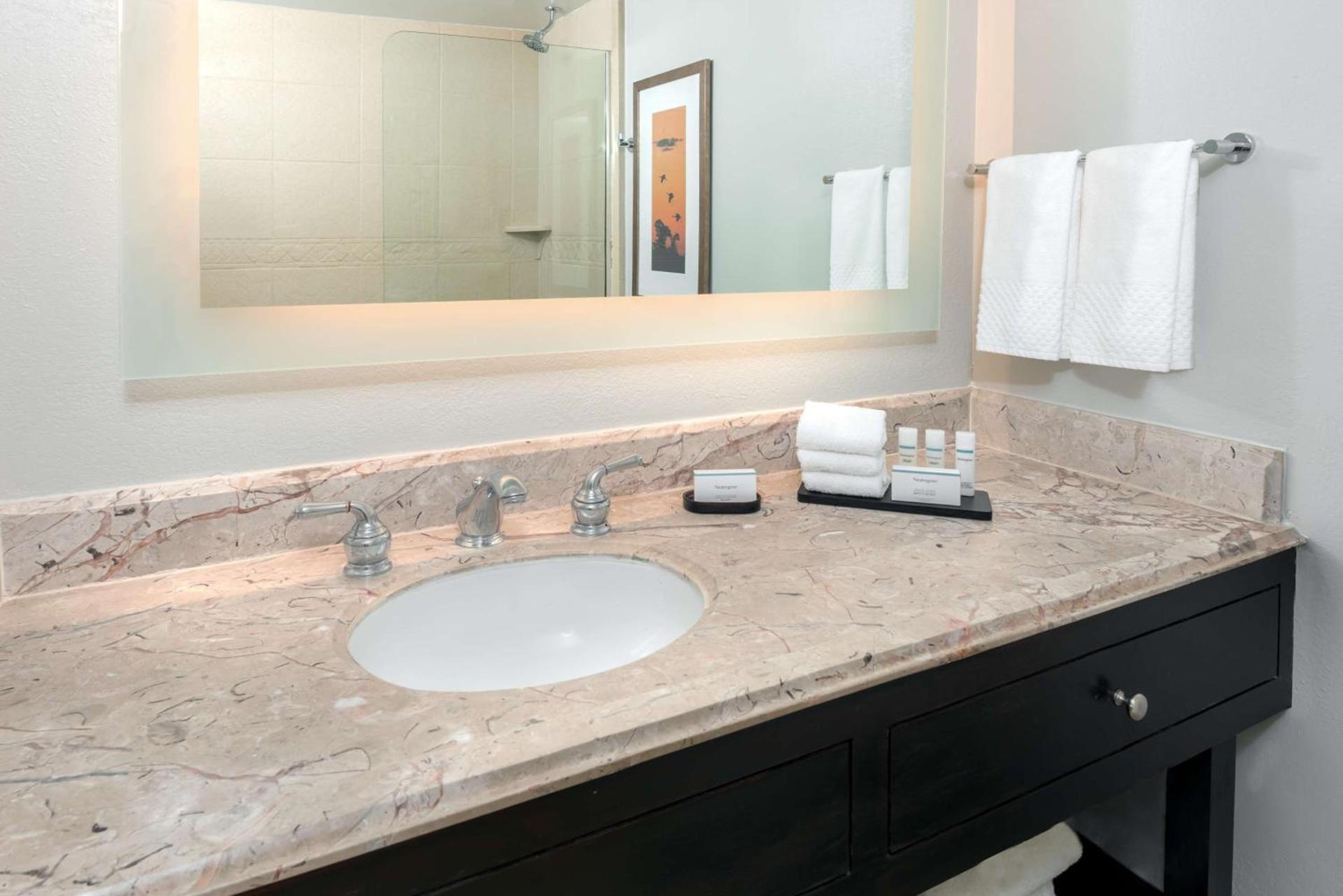 Embassy Suites Dallas - Park Central Area photo 28