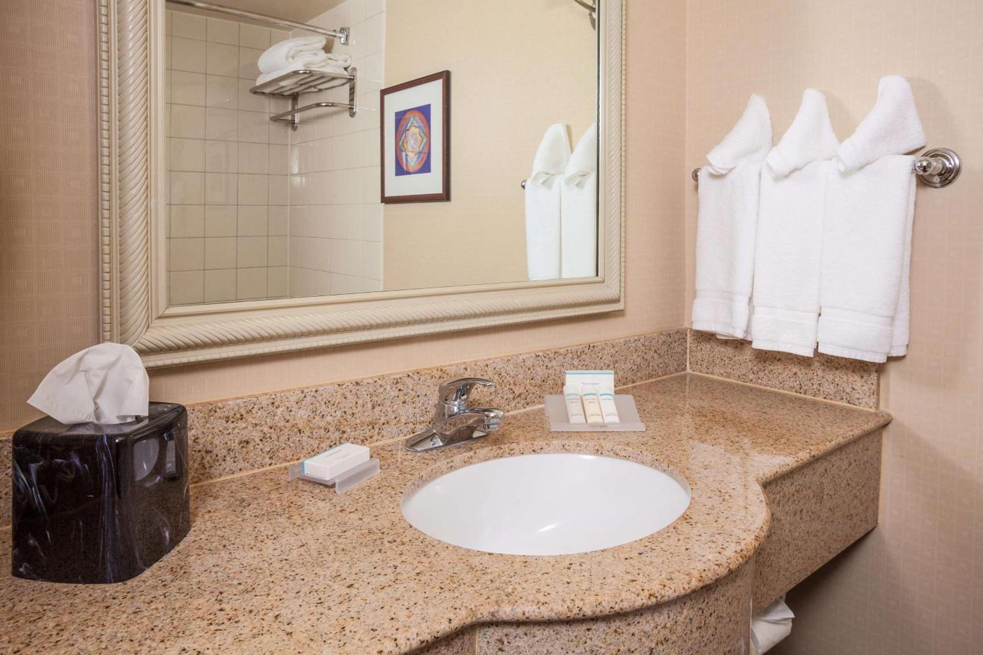 Hilton Garden Inn El Paso University photo 8