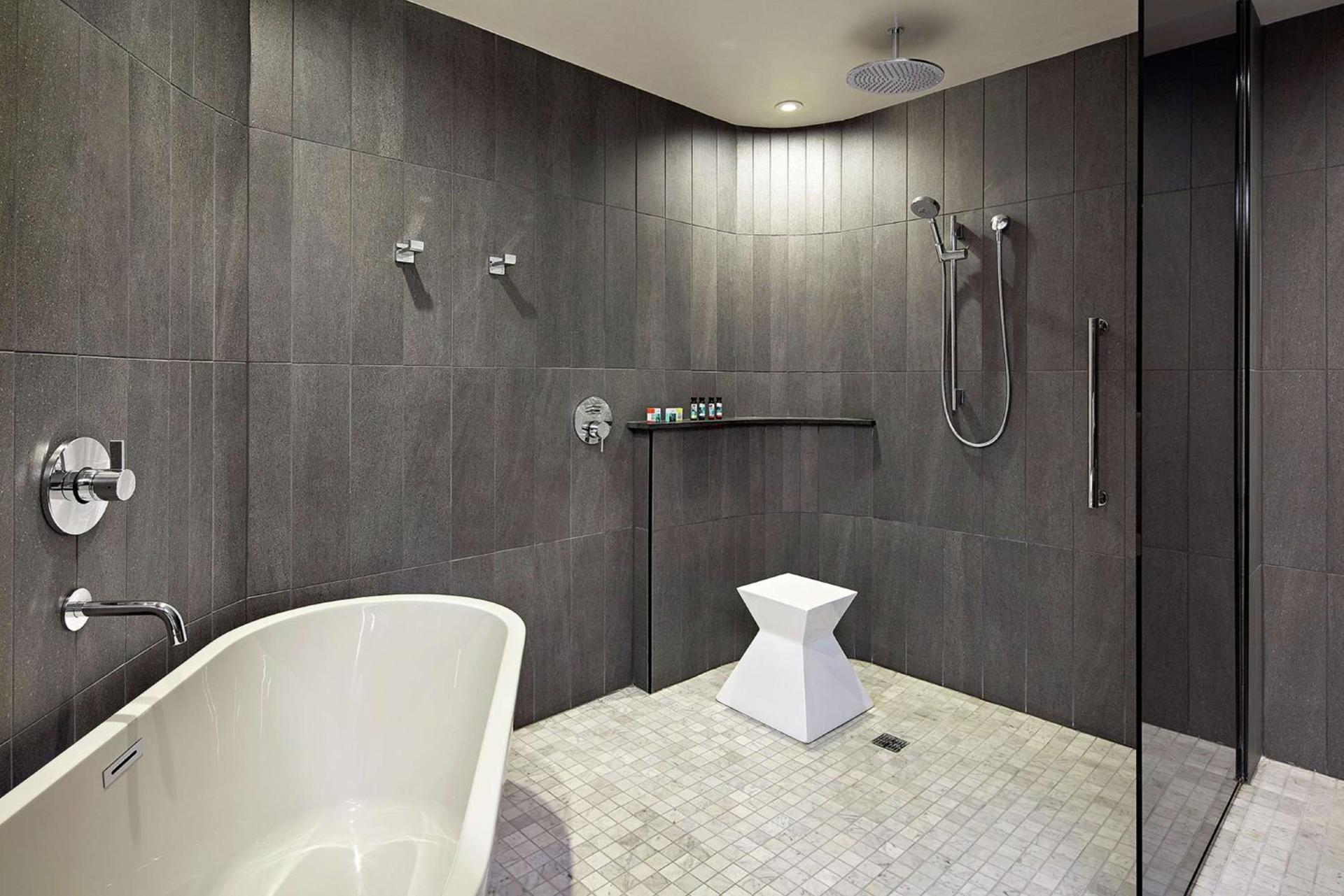 The Statler Dallas, Curio Collection By Hilton photo 58