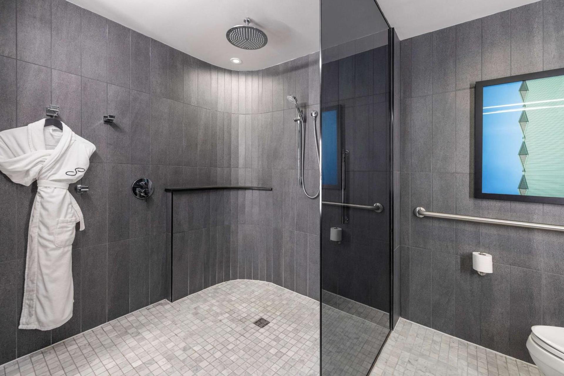 The Statler Dallas, Curio Collection By Hilton photo 74