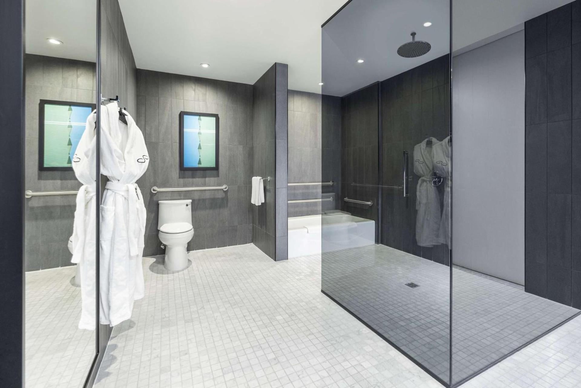 The Statler Dallas, Curio Collection By Hilton photo 78