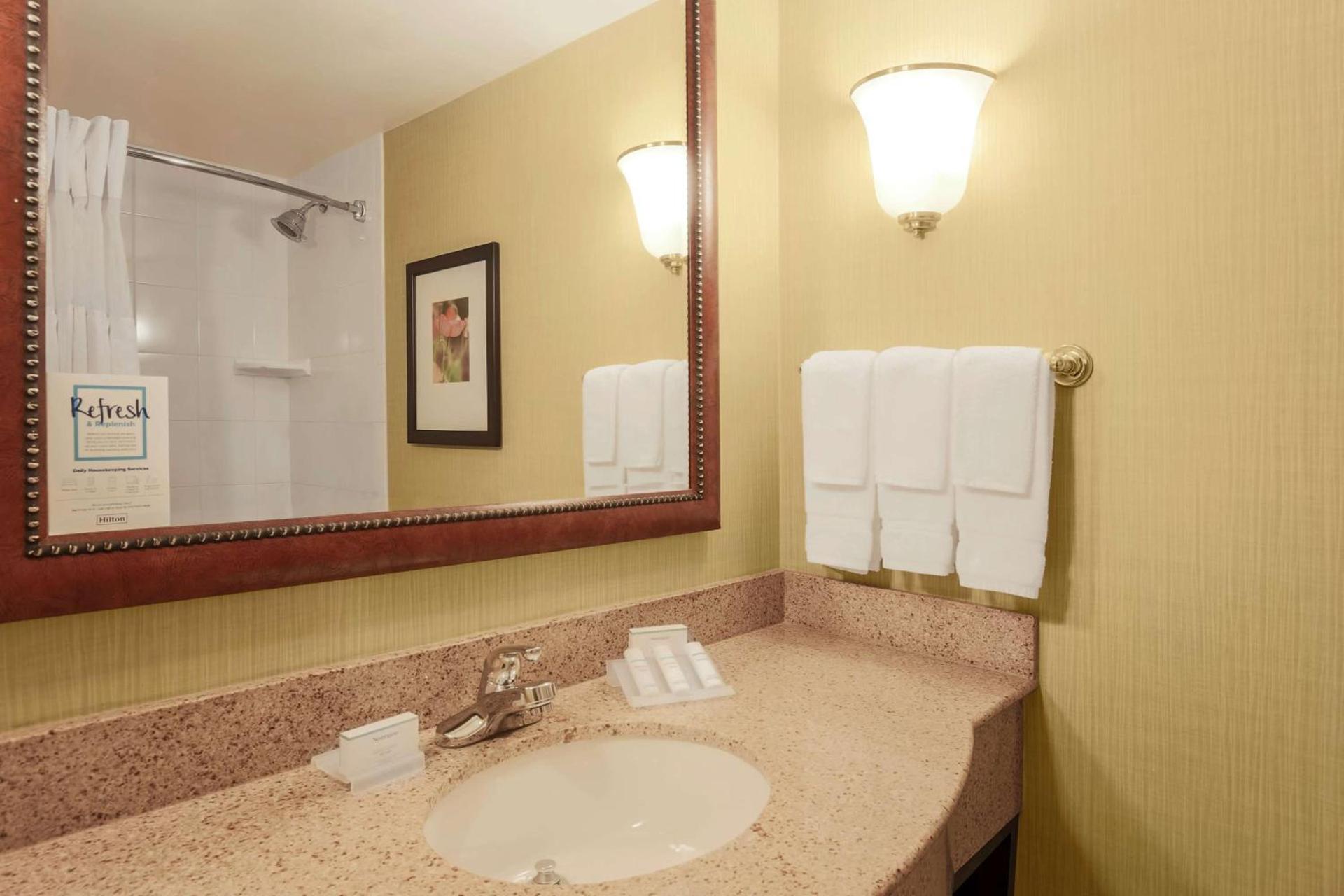 Hilton Garden Inn Chicago/Midway Airport photo 10