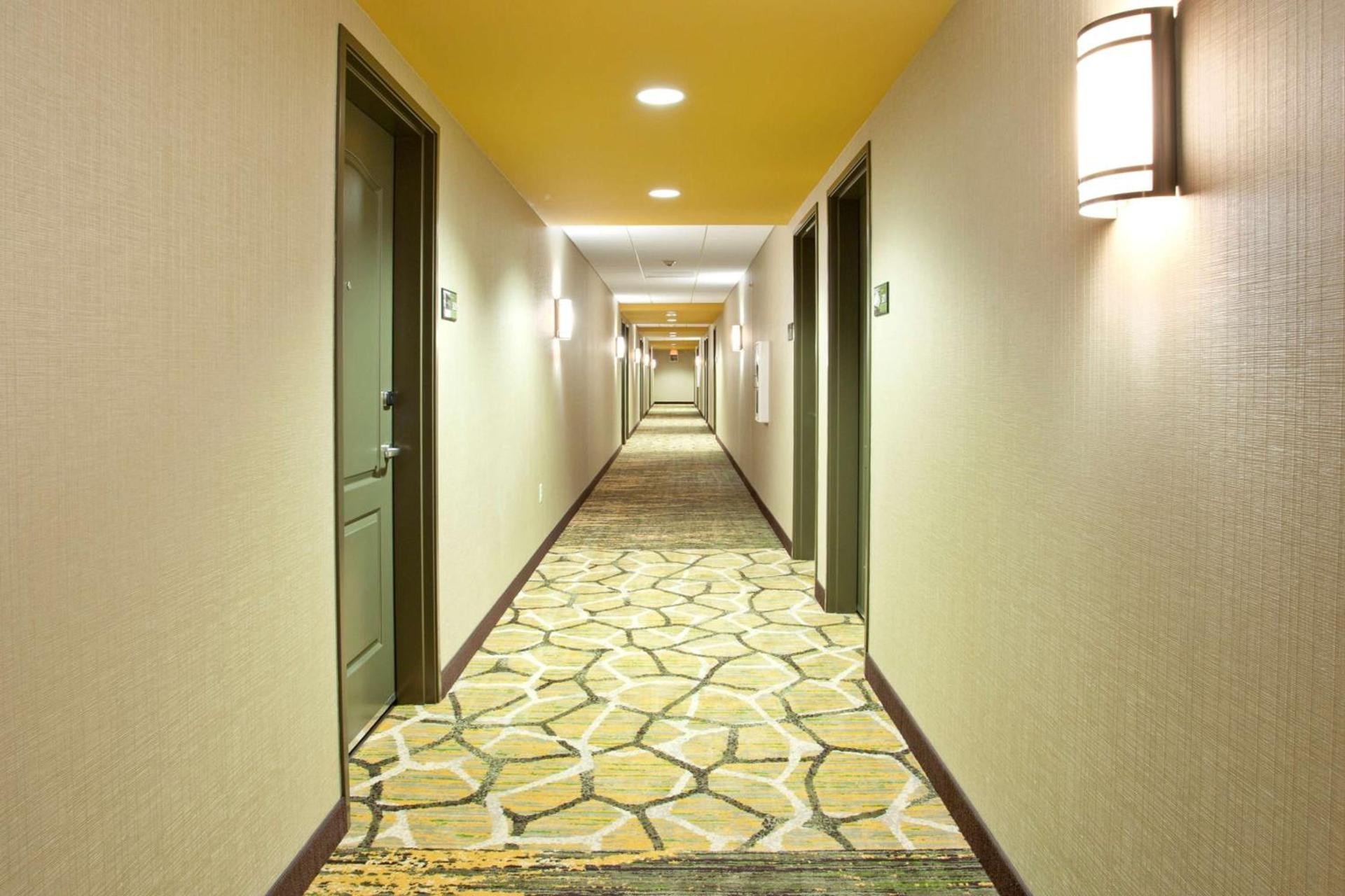 Hampton Inn & Suites - Minneapolis/Downtown photo 38