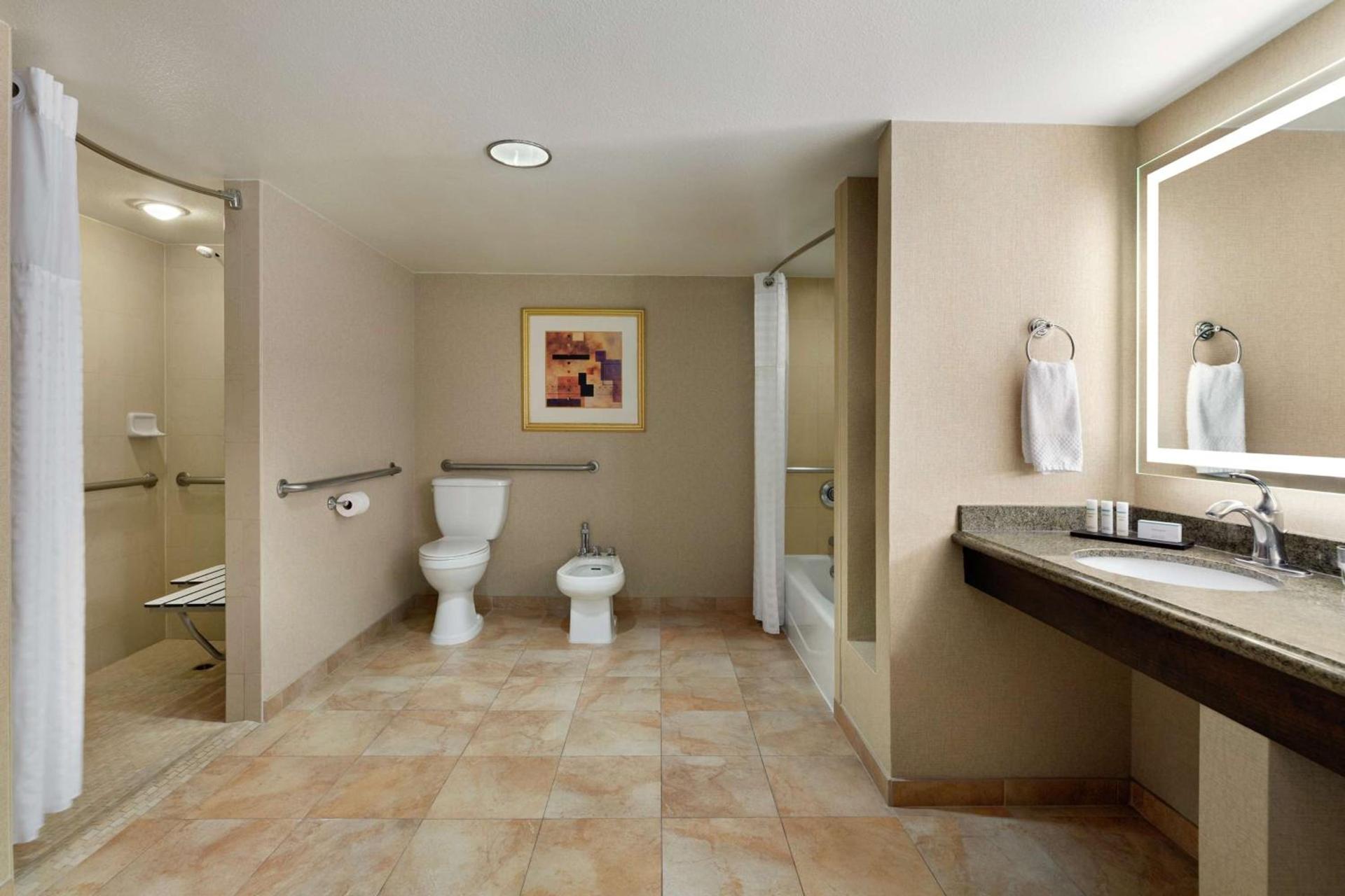Embassy Suites by Hilton Phoenix Tempe photo 22