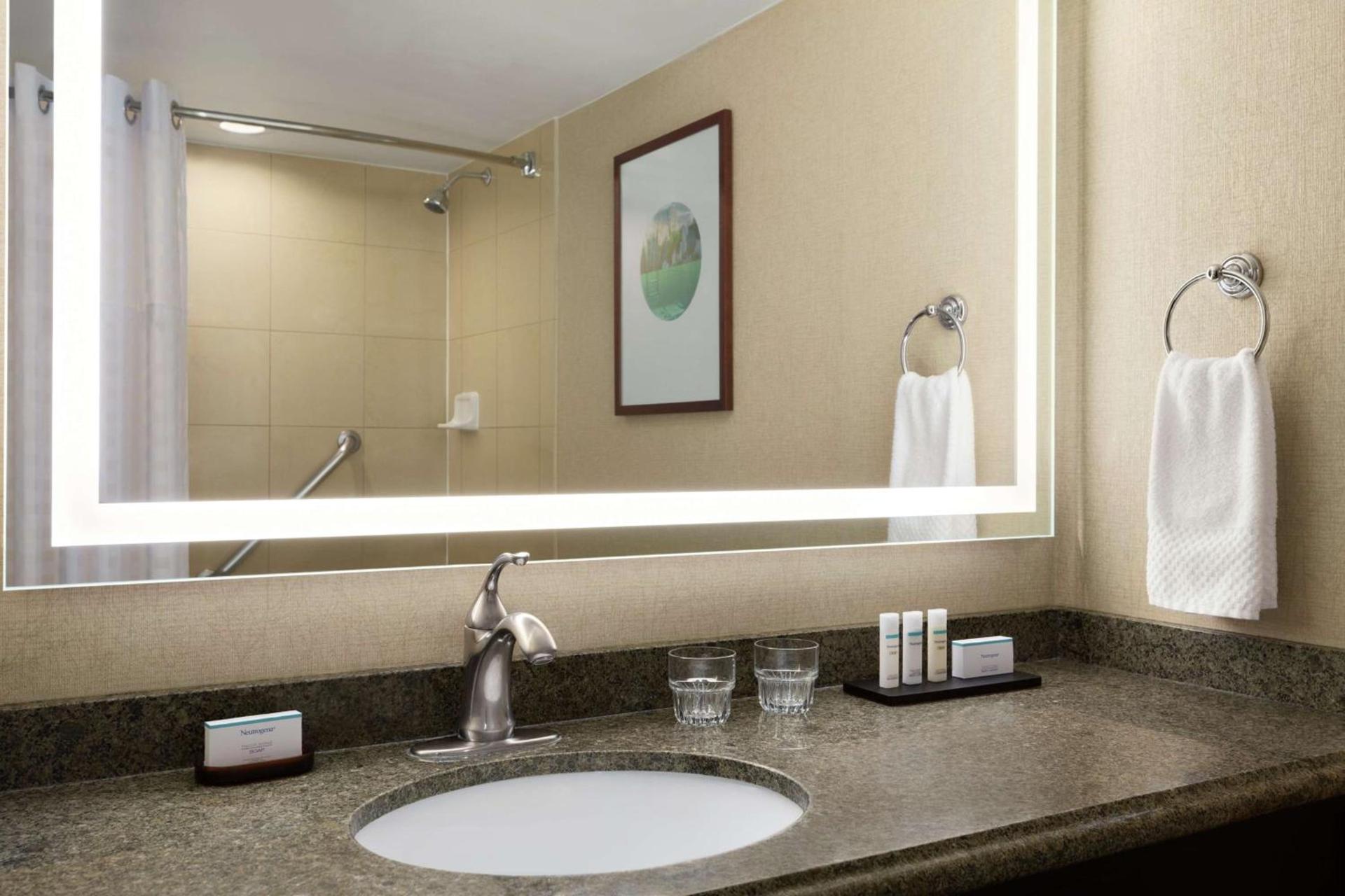 Embassy Suites by Hilton Phoenix Tempe photo 33