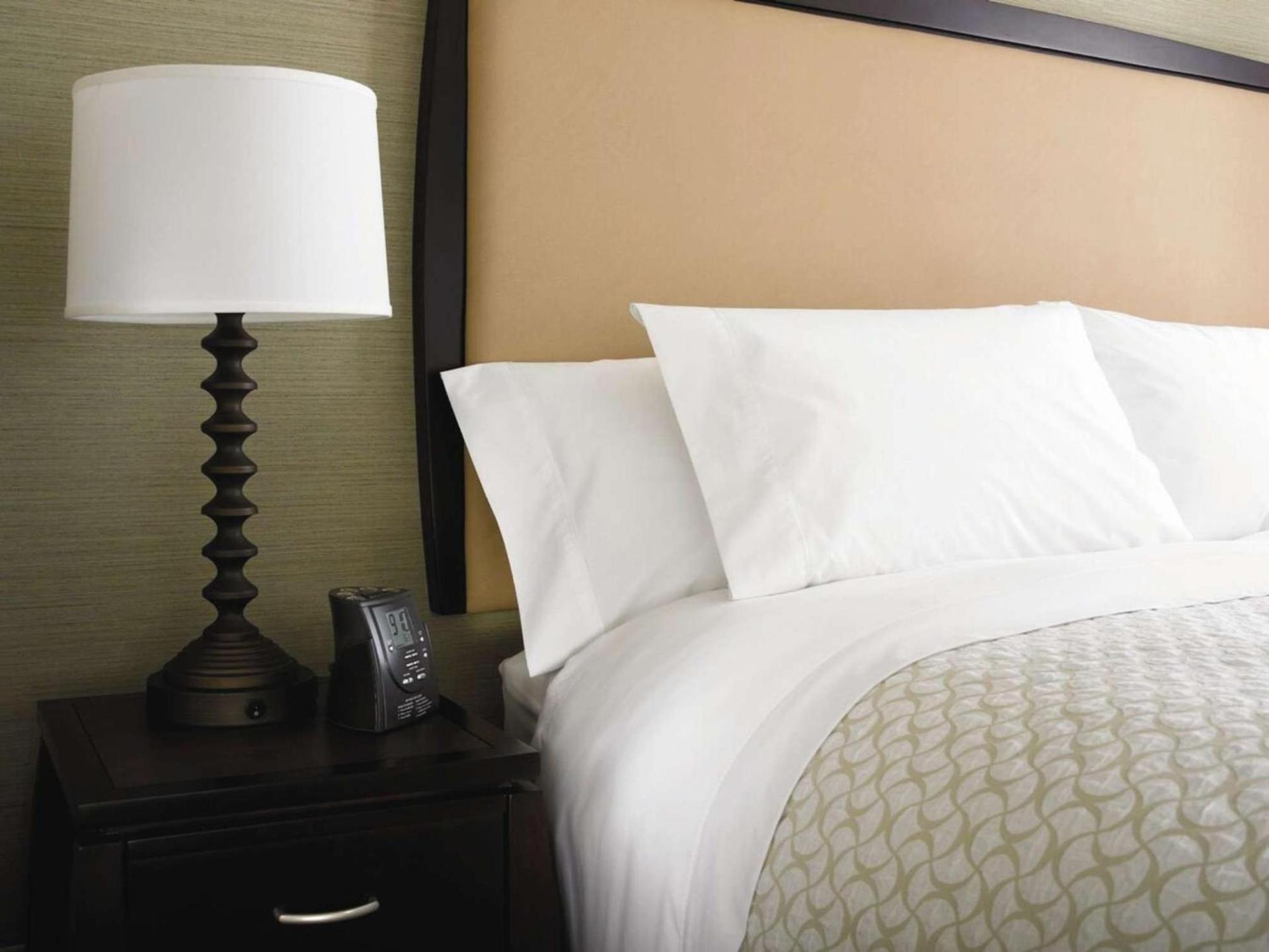 Embassy Suites by Hilton Baltimore at BWI Airport photo 21
