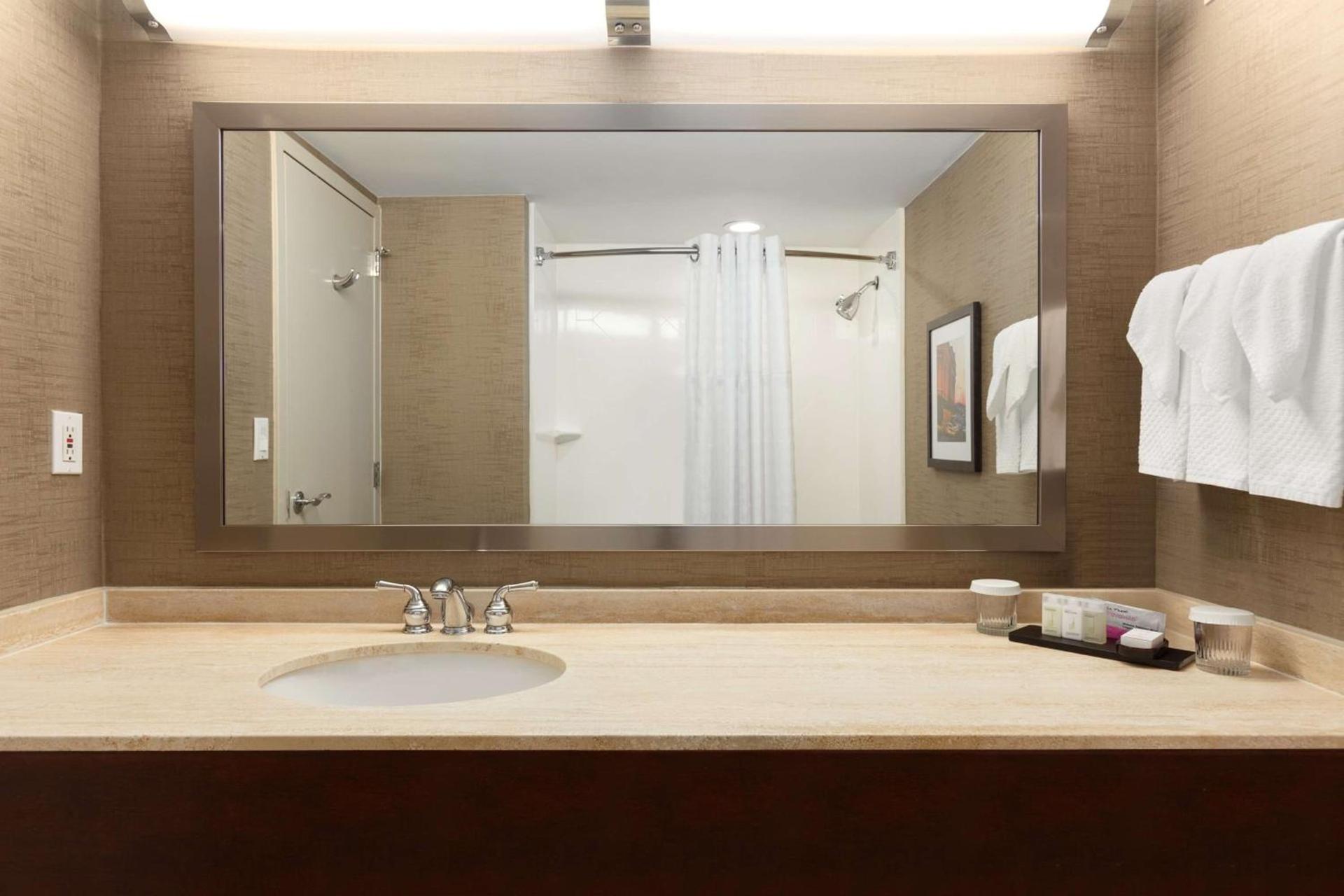 Embassy Suites by Hilton Baltimore at BWI Airport photo 23