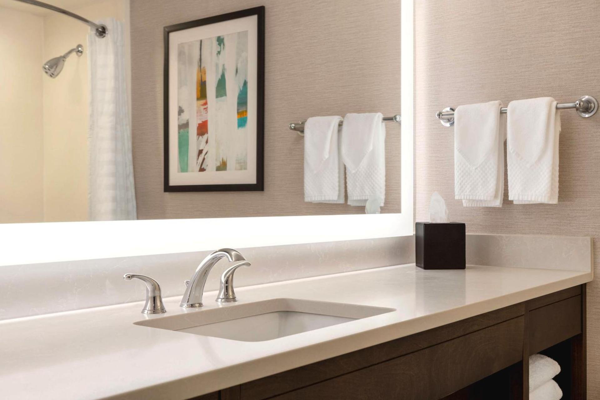 Embassy Suites by Hilton Baltimore at BWI Airport photo 39
