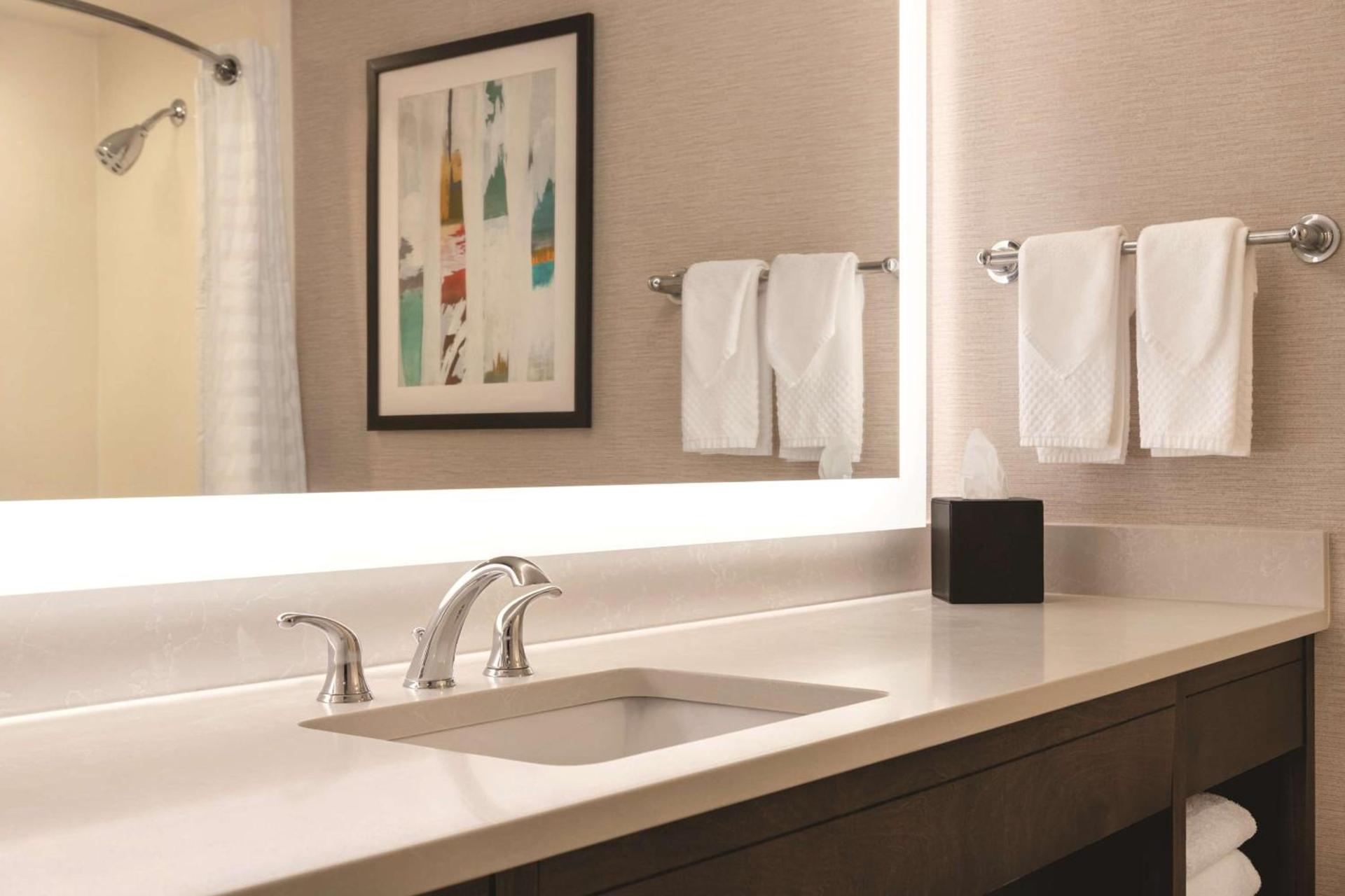 Embassy Suites by Hilton Baltimore at BWI Airport photo 40