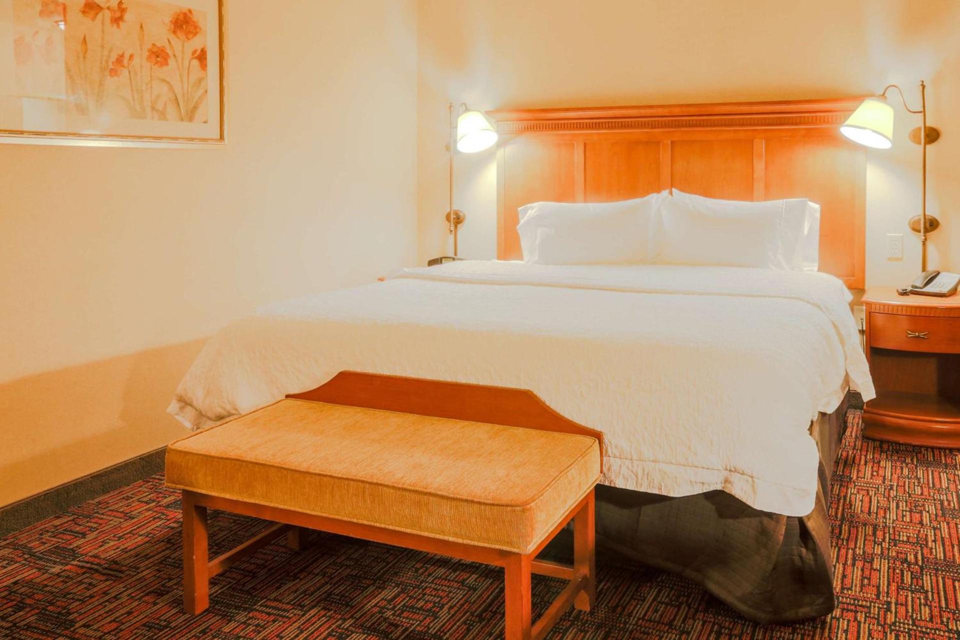 Hampton Inn & Suites by Hilton Tomball Houston NW photo 43